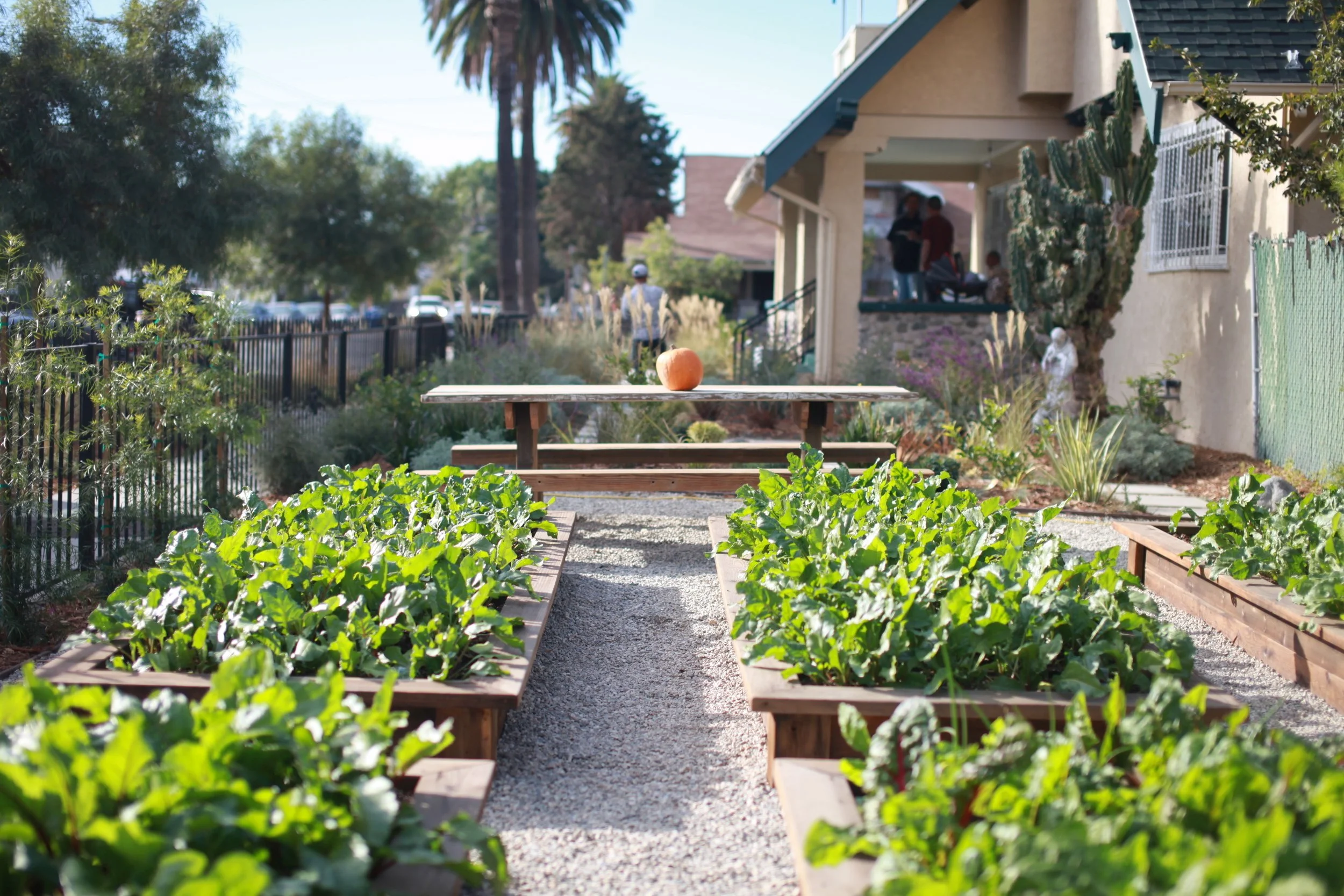 ALMA Backyard Farms | Feed the Soil, Feed the Soul