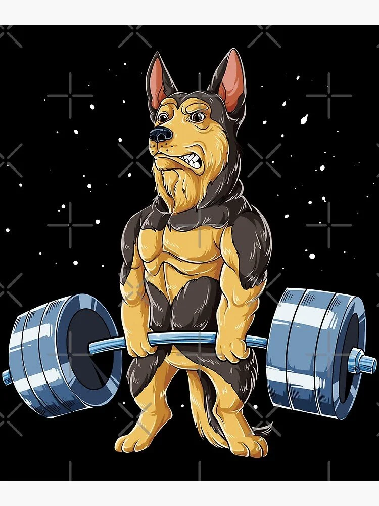 Strength Training Camp