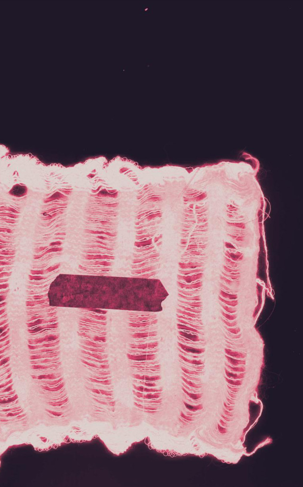 Screen Shot 2025-11-25 at 12.18.05 PM.png