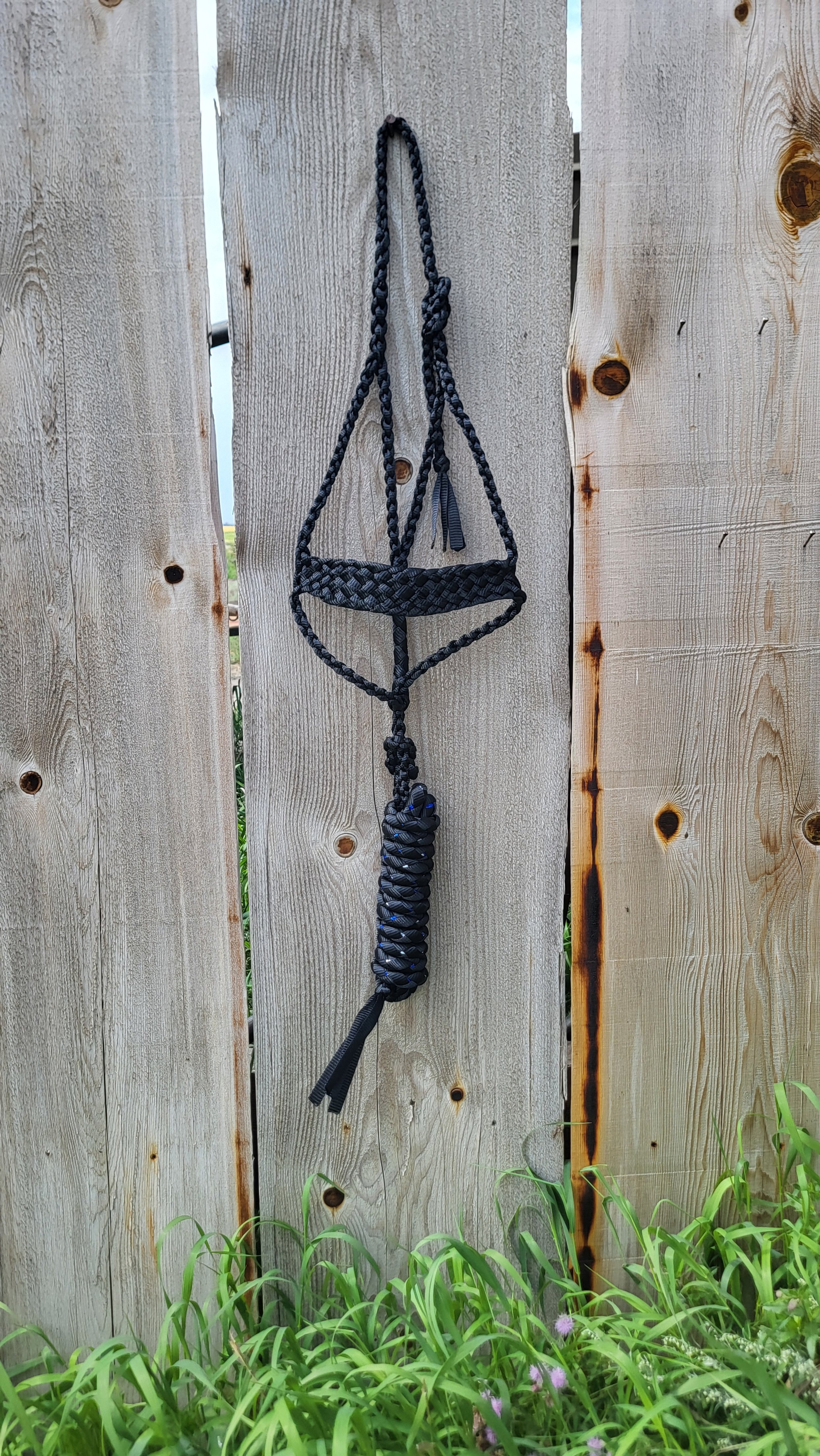 Muletape Halter