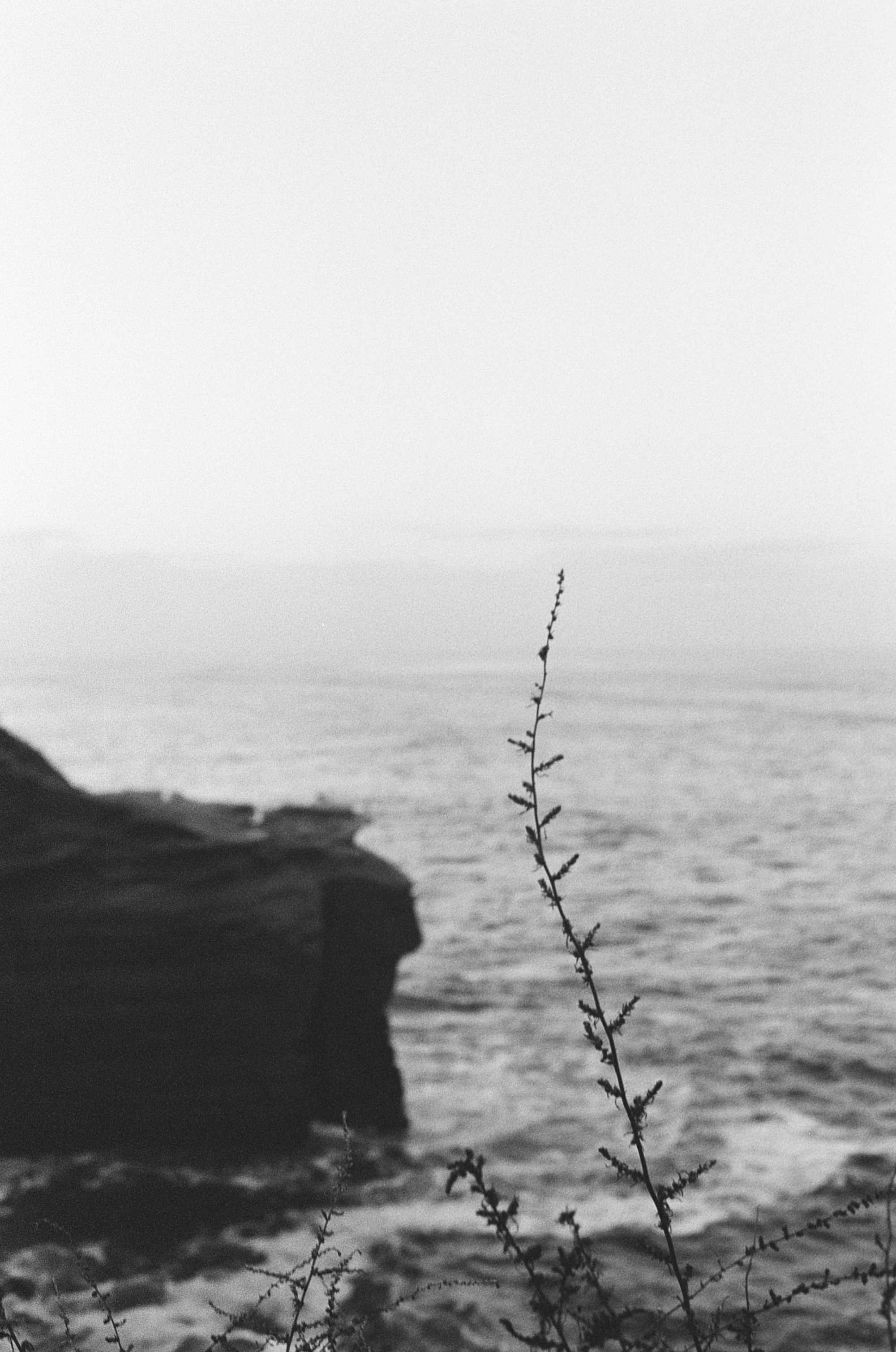 000139710020 4.png