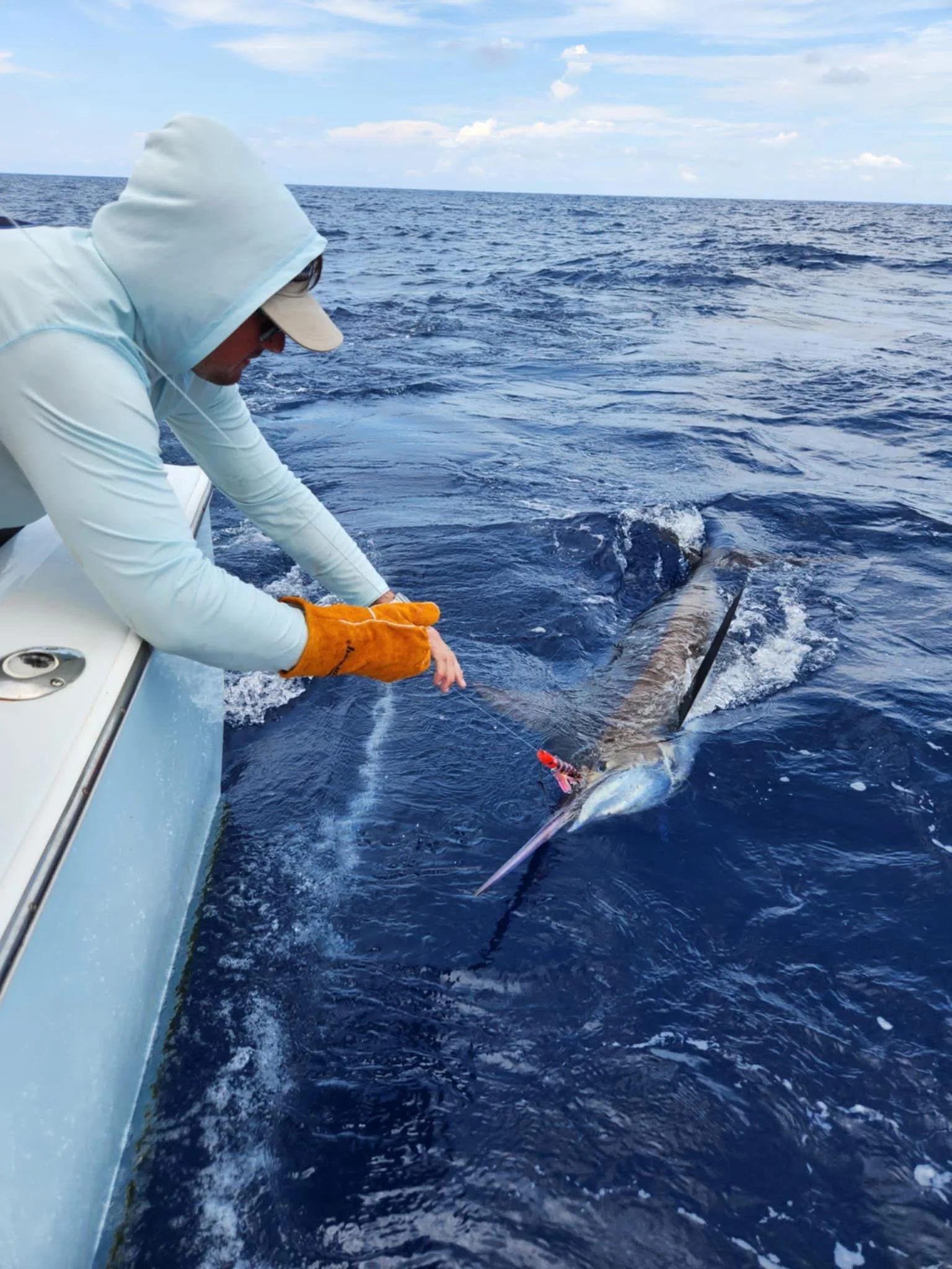 Blue Marlin on "the Shaft"