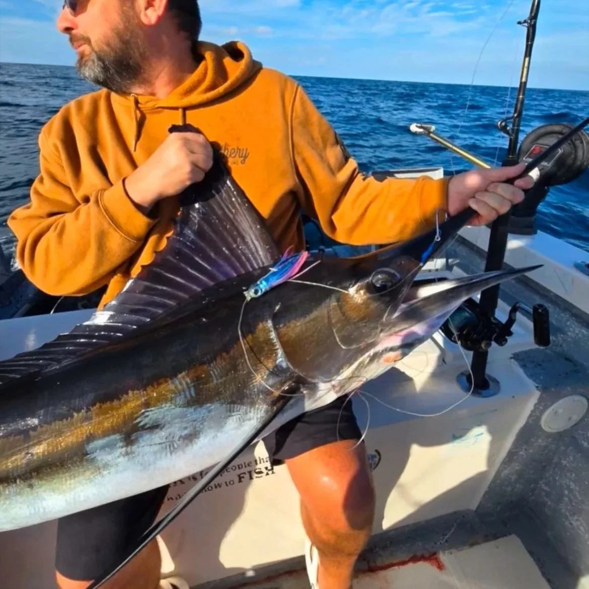 Striped Marlin on a "Small Sucker"