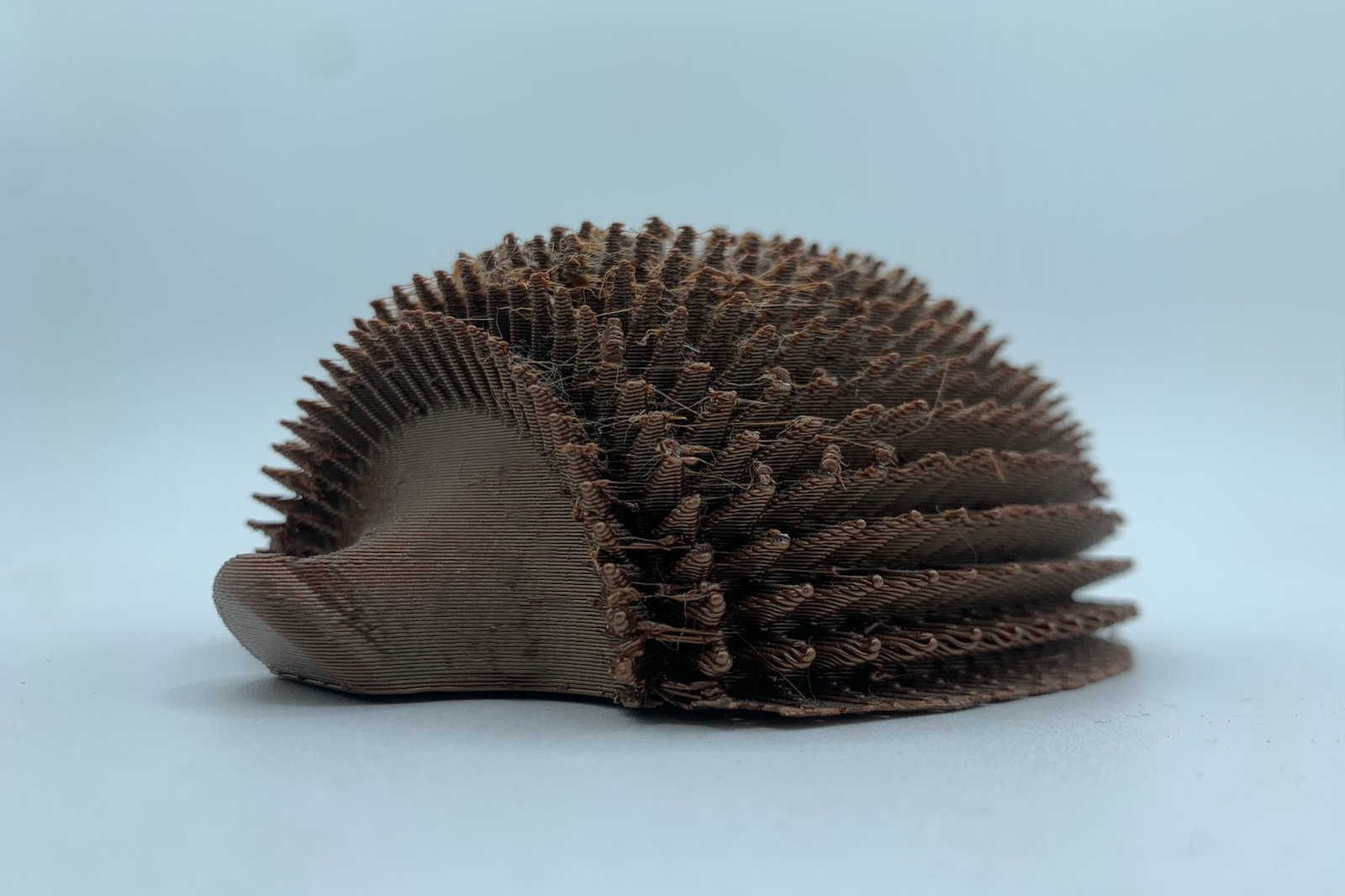 A brown hedgehog consisting of a snout poking out from a dome of spikes
