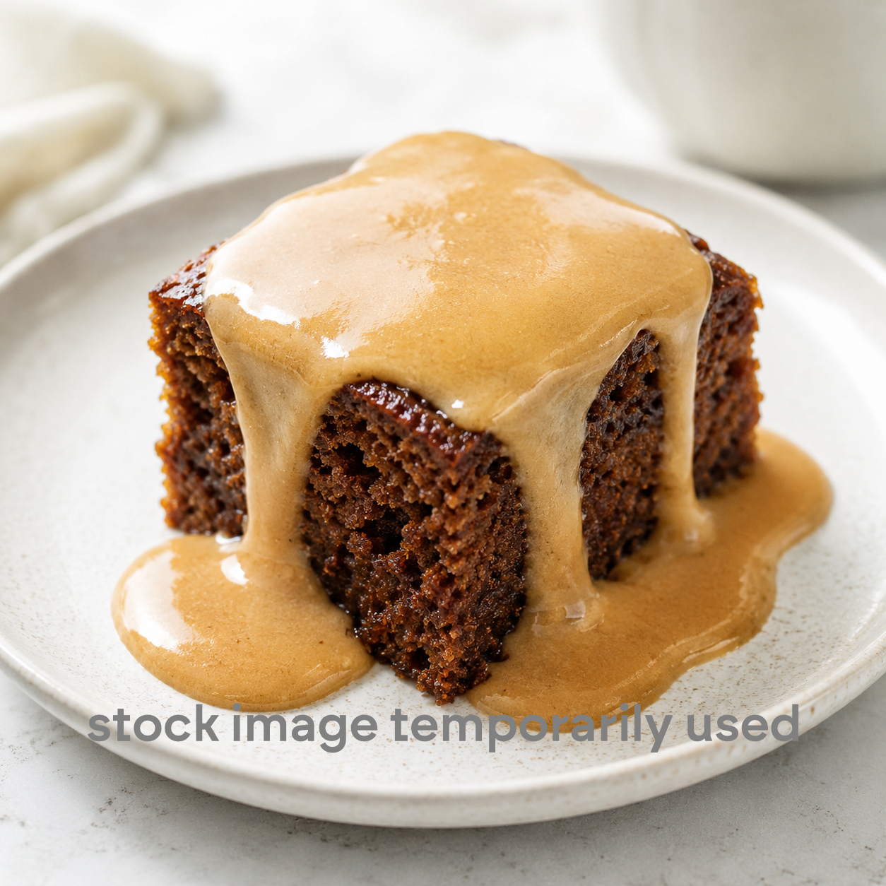 Sticky Date Pud (v)