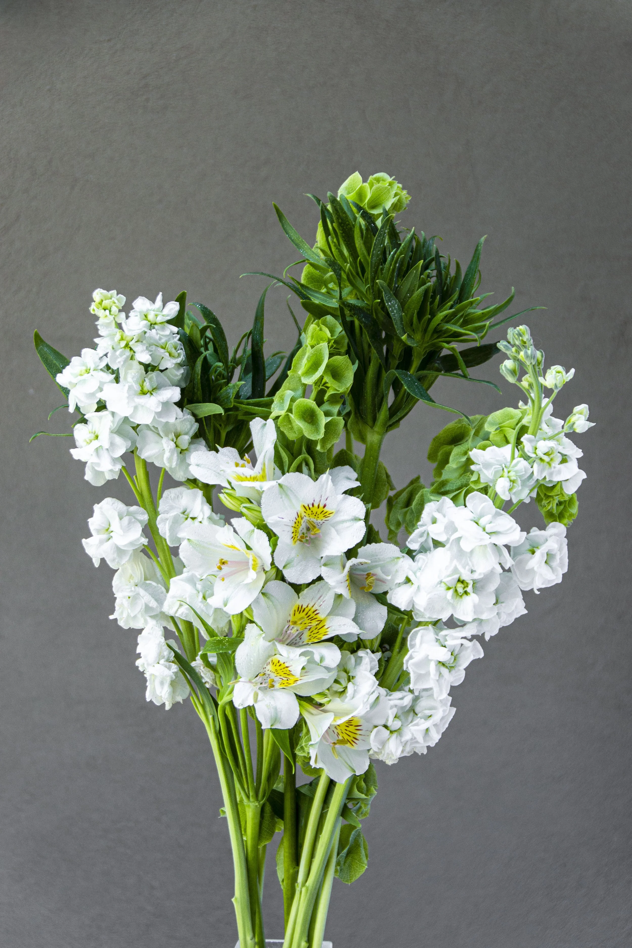 La Floristeria Boutique_37.jpg