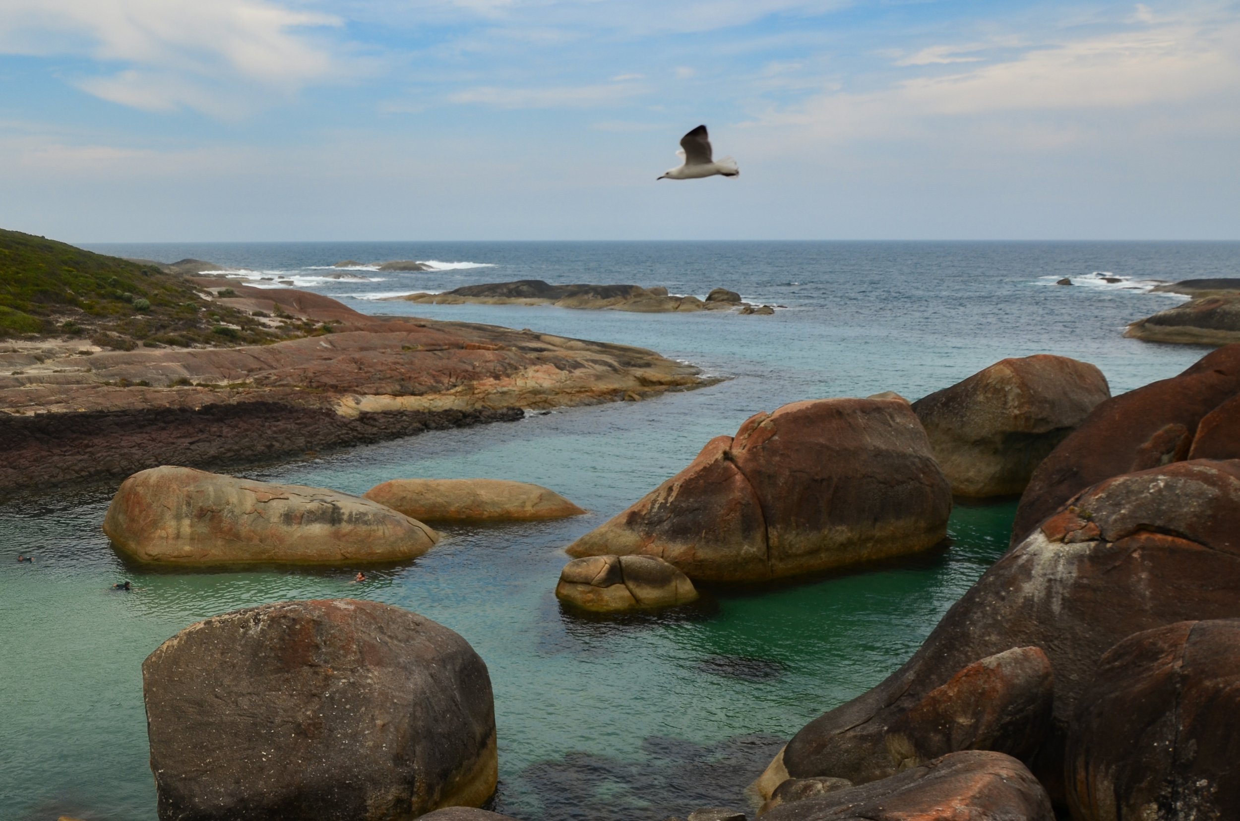 dia de la tierra-3.jpg