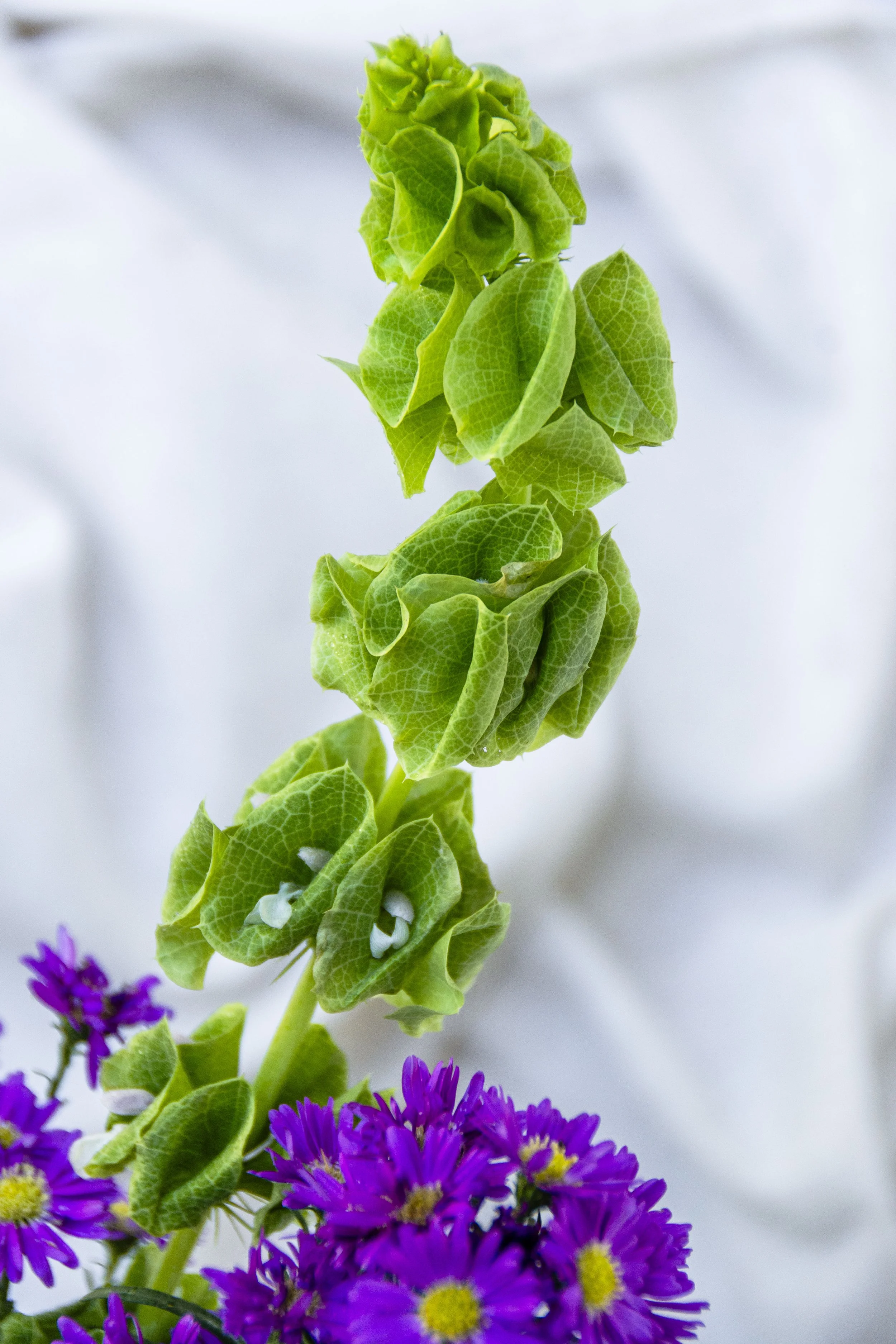 La Floristeria Boutique_30.jpg