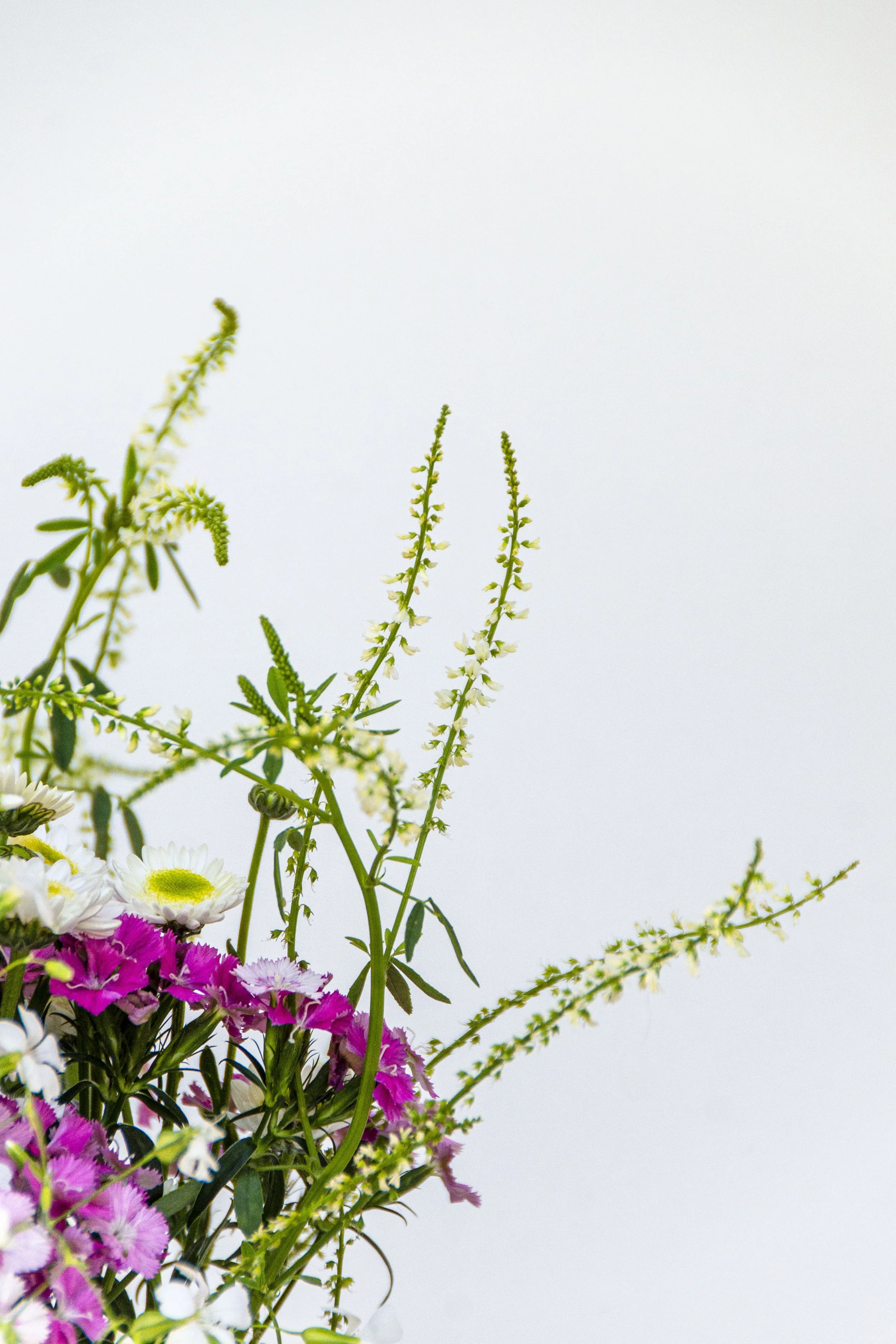 La Floristeria Boutique_2.jpg