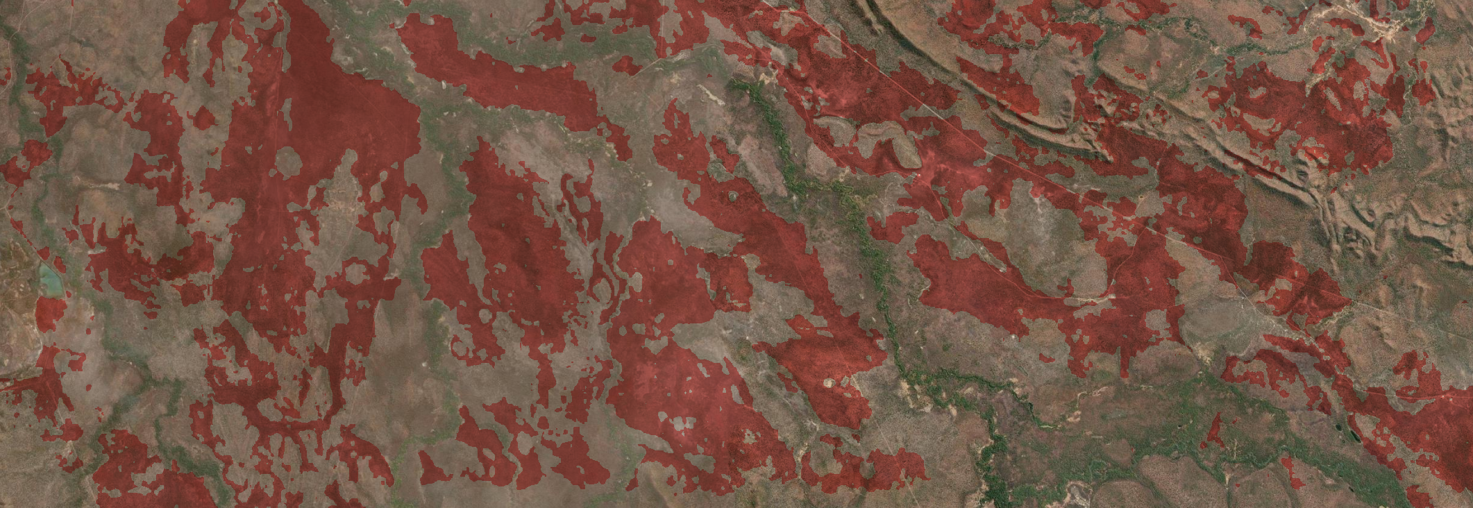 FiSci Detect satellite imagery using AI and mapping the patchy mosaic of early dry season burns in red, highlighting unburnt gaps that pose a wildfire hazard later in the season.