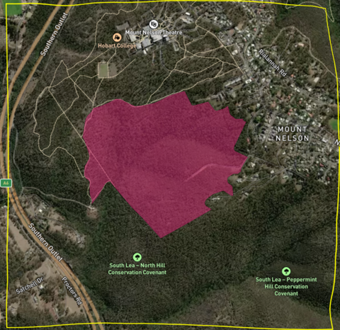 Mount Nelson Prescribed Burn Analysis