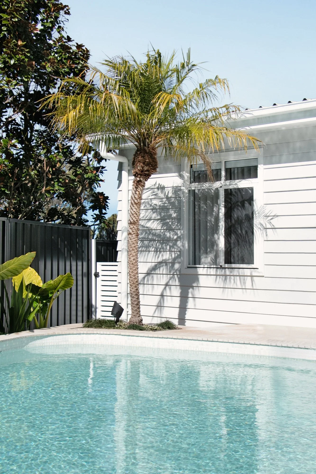 Palm tree beside a white home and new concrete pool in Yowie Bay