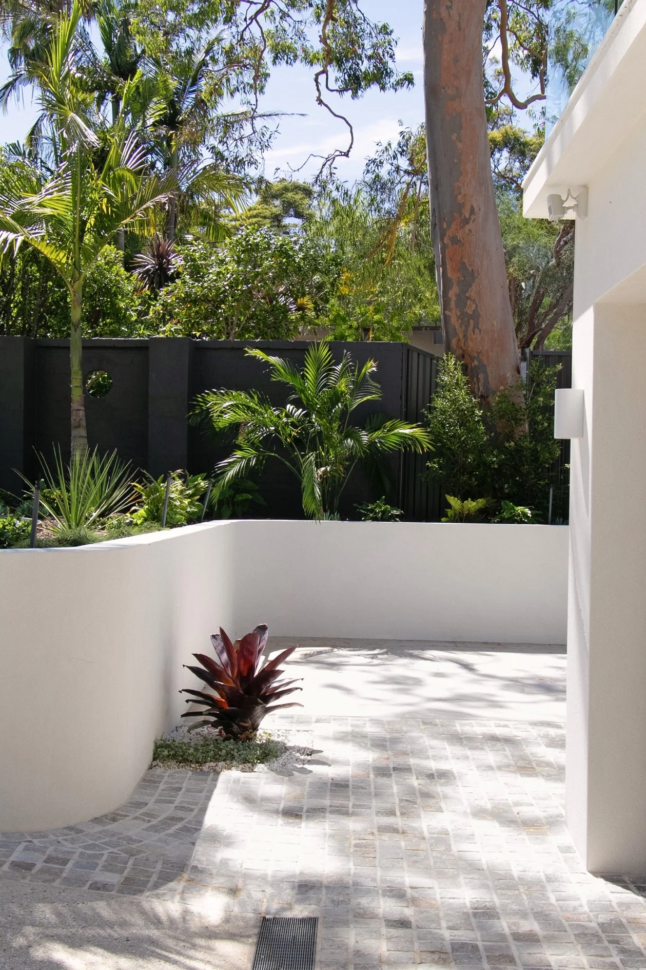 Lower courtyard corner with curved retaining walls, tropical planting and a feature bromeliad, showing soft landscaping around the entry.