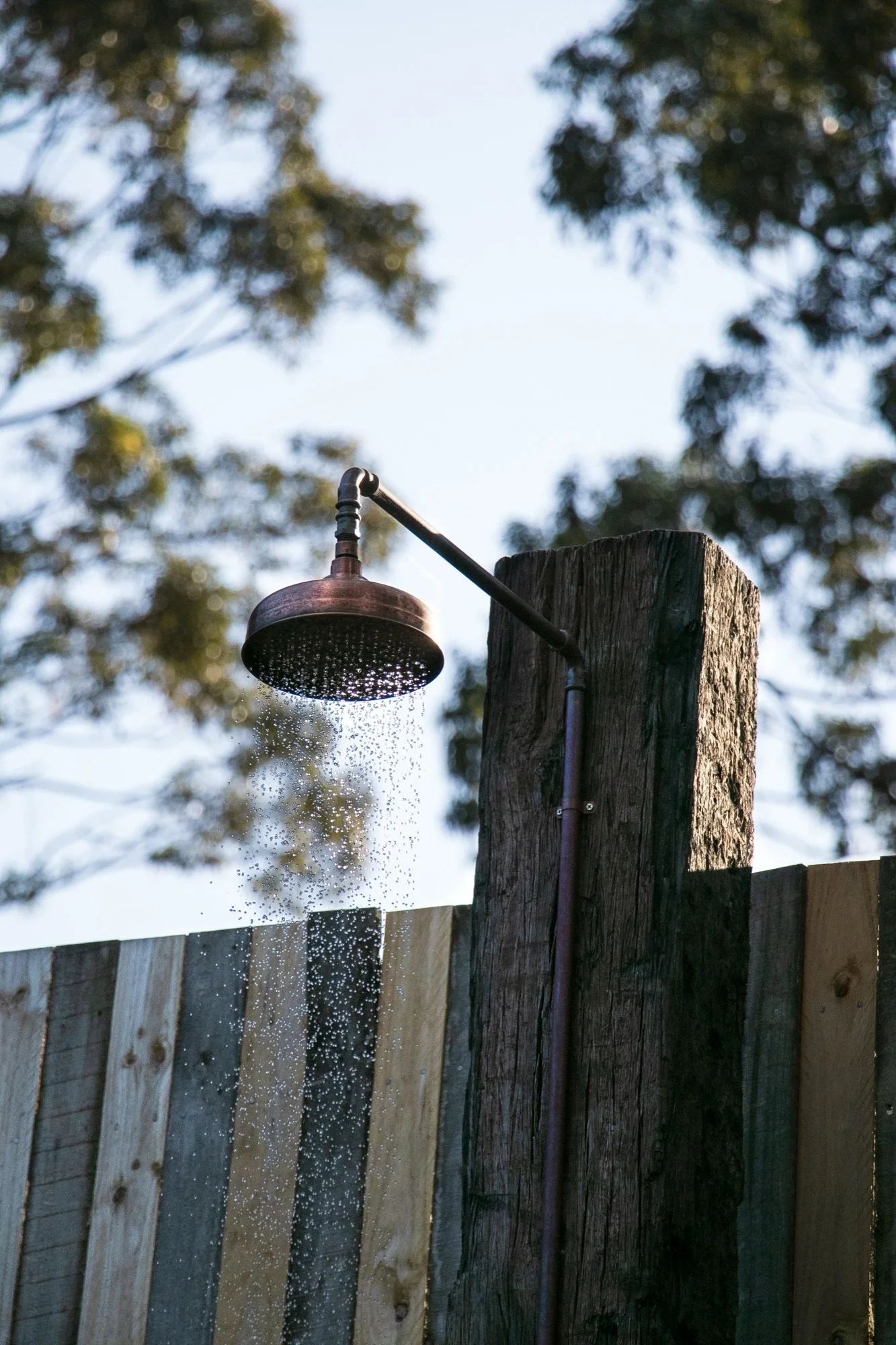 Copper outdoor shower on a timber post in a Bulli garden