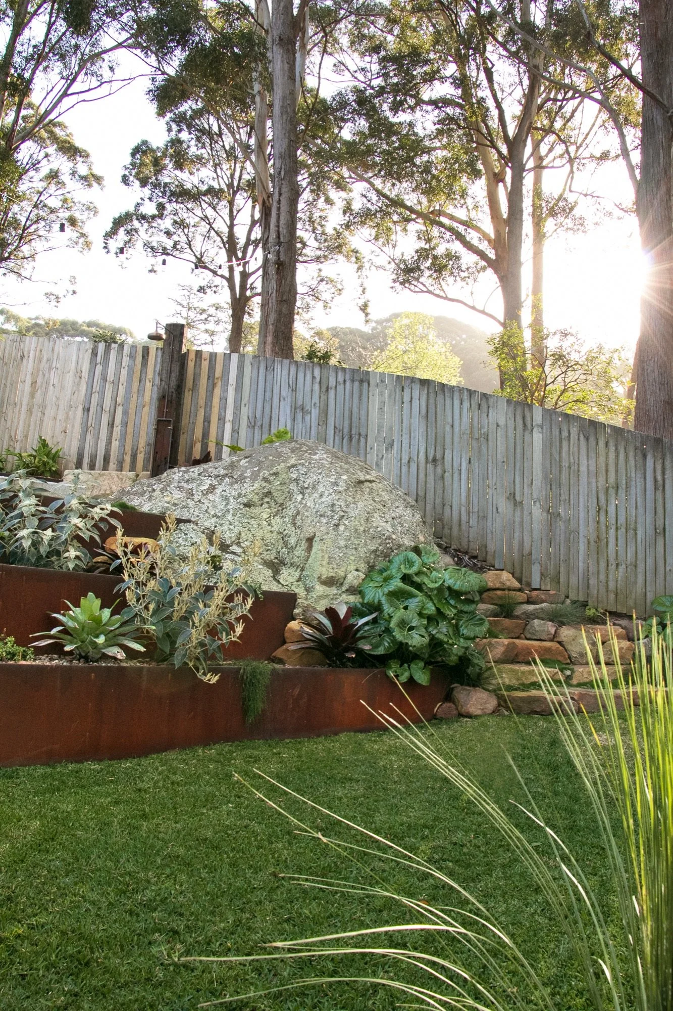 Original sandstone boulder with layered planting and corten edging on a sloping block in Bulli