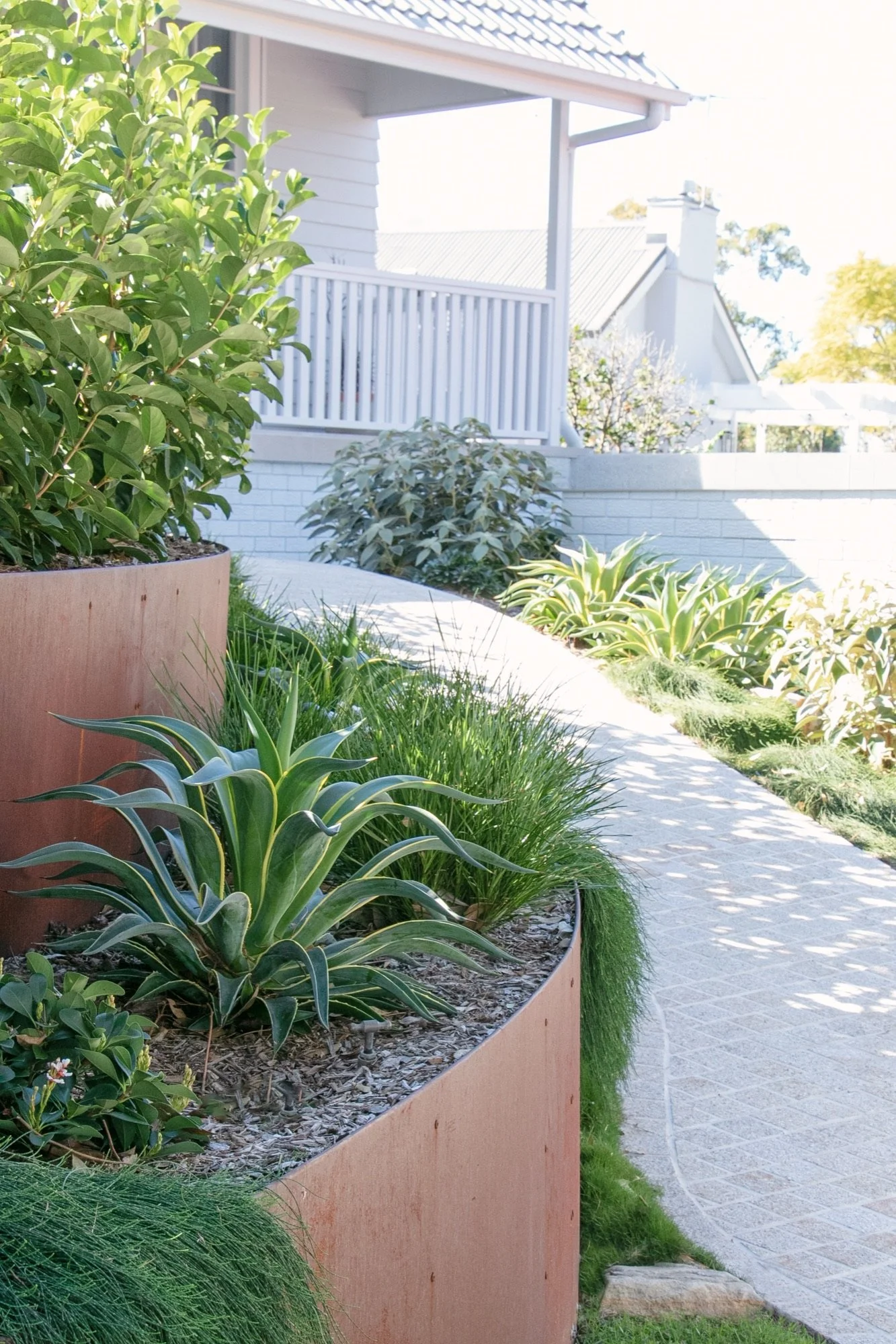 Corten garden beds and agave lining a paved path in a Yowie Bay front yard