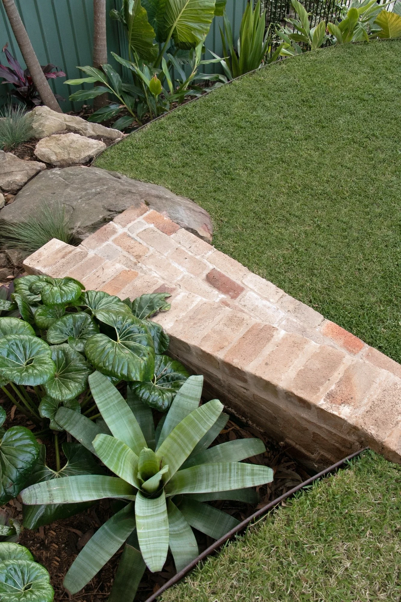 Recycled brick capping meeting lawn and bromeliad planting in a Bulli garden