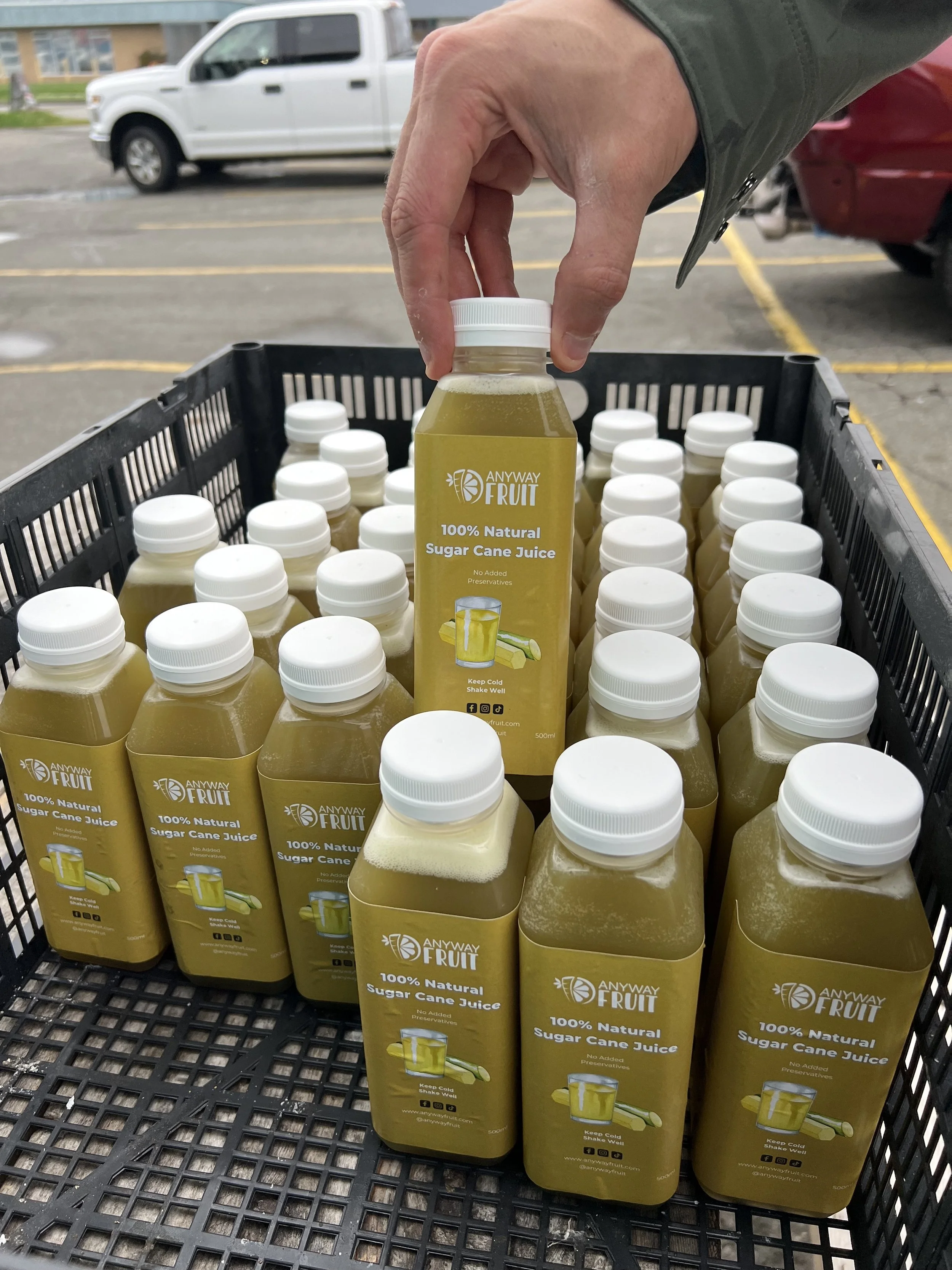 Sugar Cane Bottles jpg.jpg
