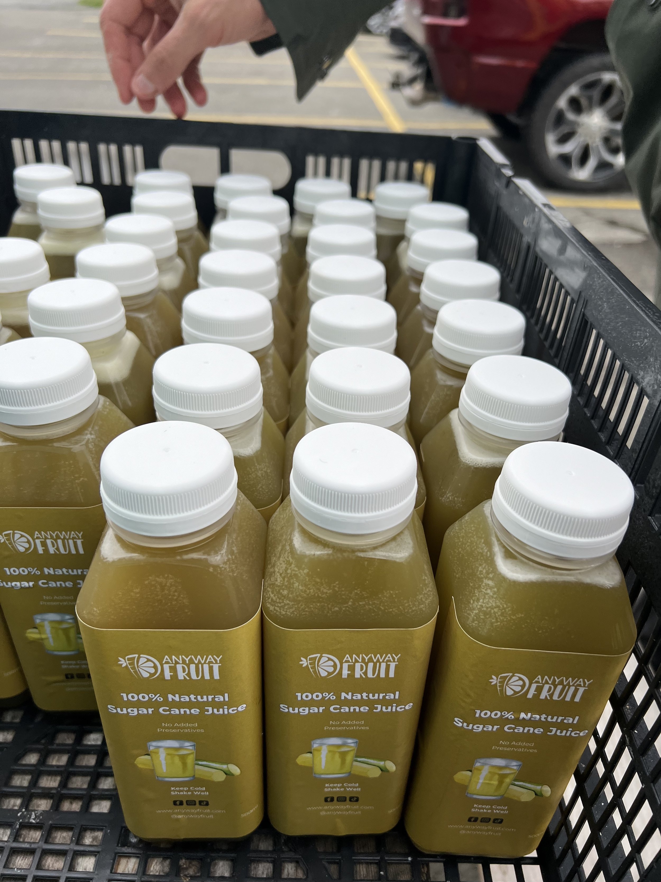 Sugar Cane Bottles 2.jpg