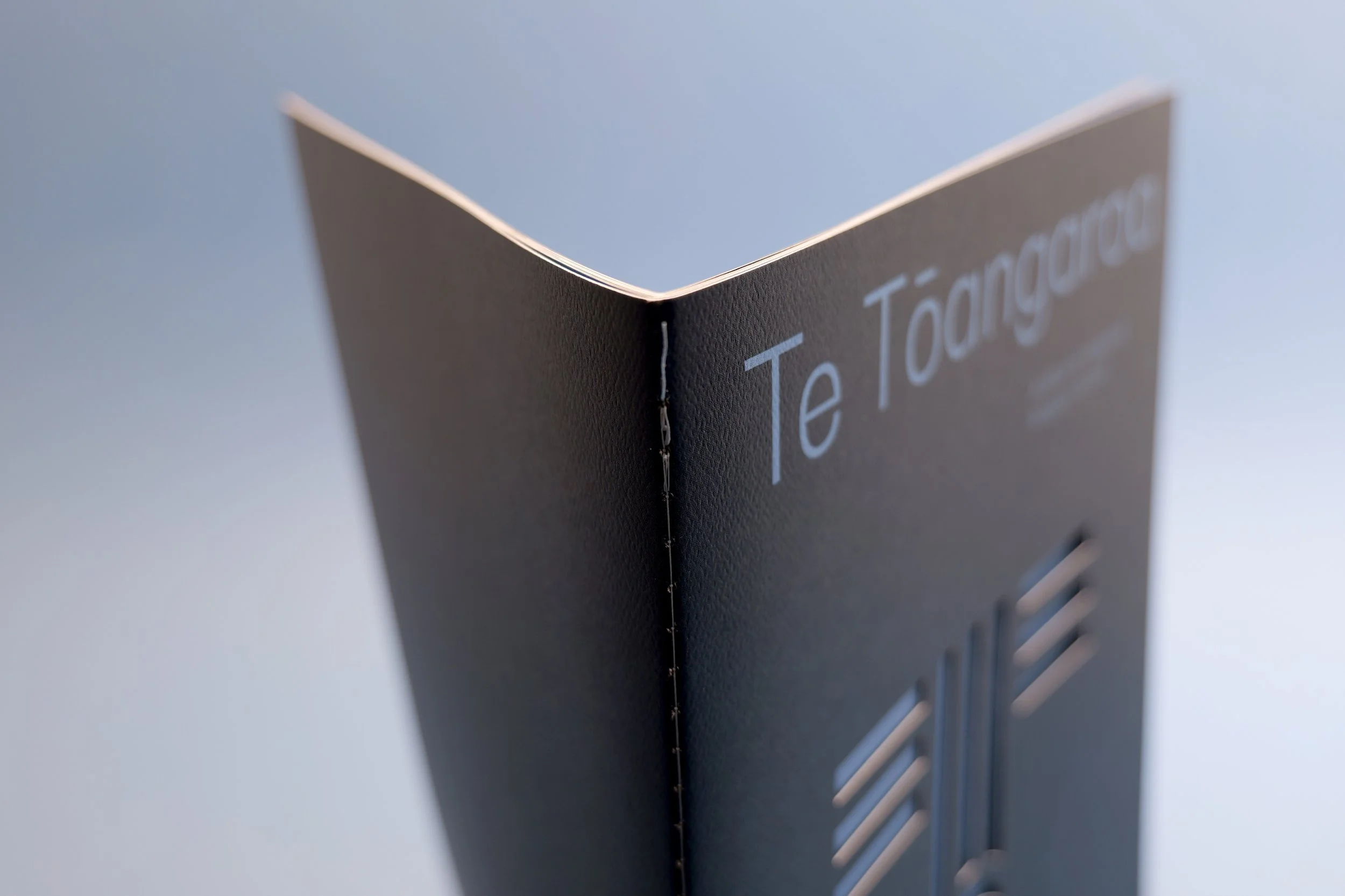 Te Tāangaroa spine.jpg