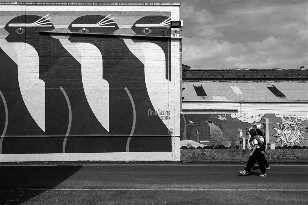 Festival of Design Aotearoa