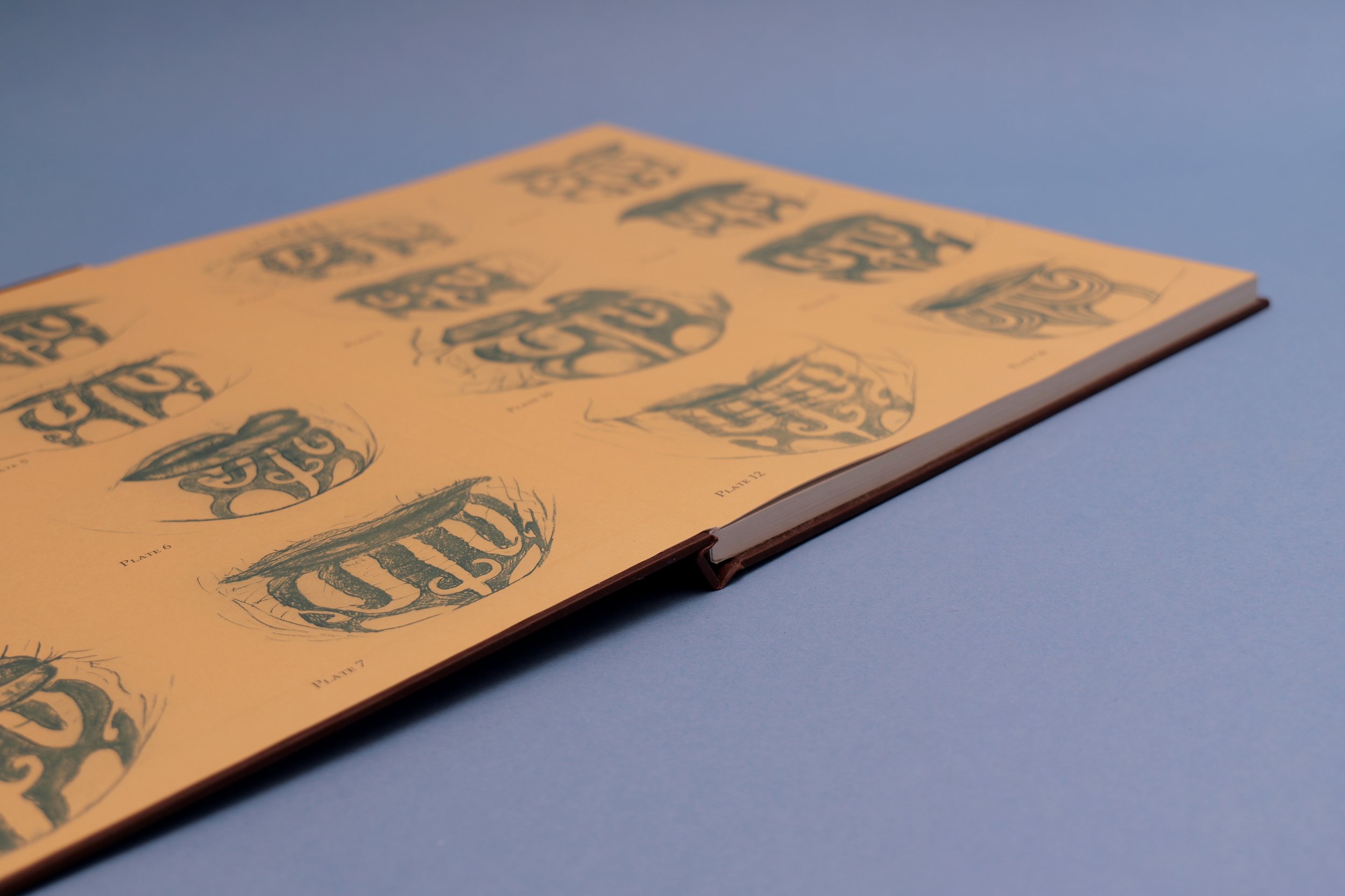 The Blue Privilege end papers 3.jpg