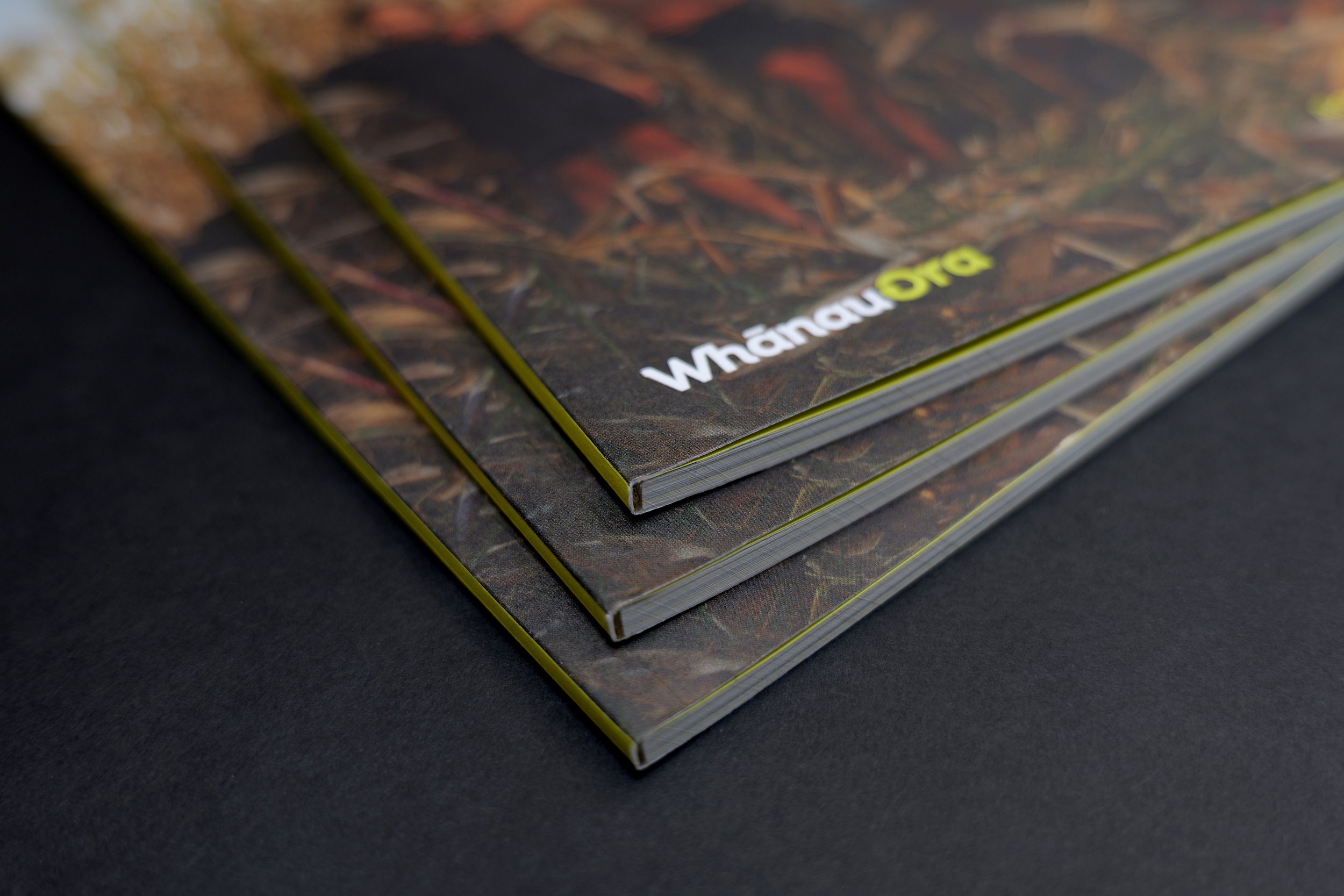 WhānauOra Spine.jpg