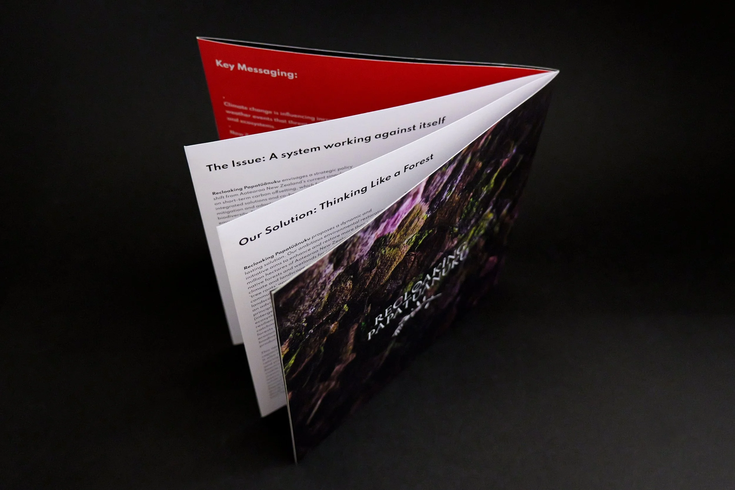 recloaking papatuanuku open.jpg