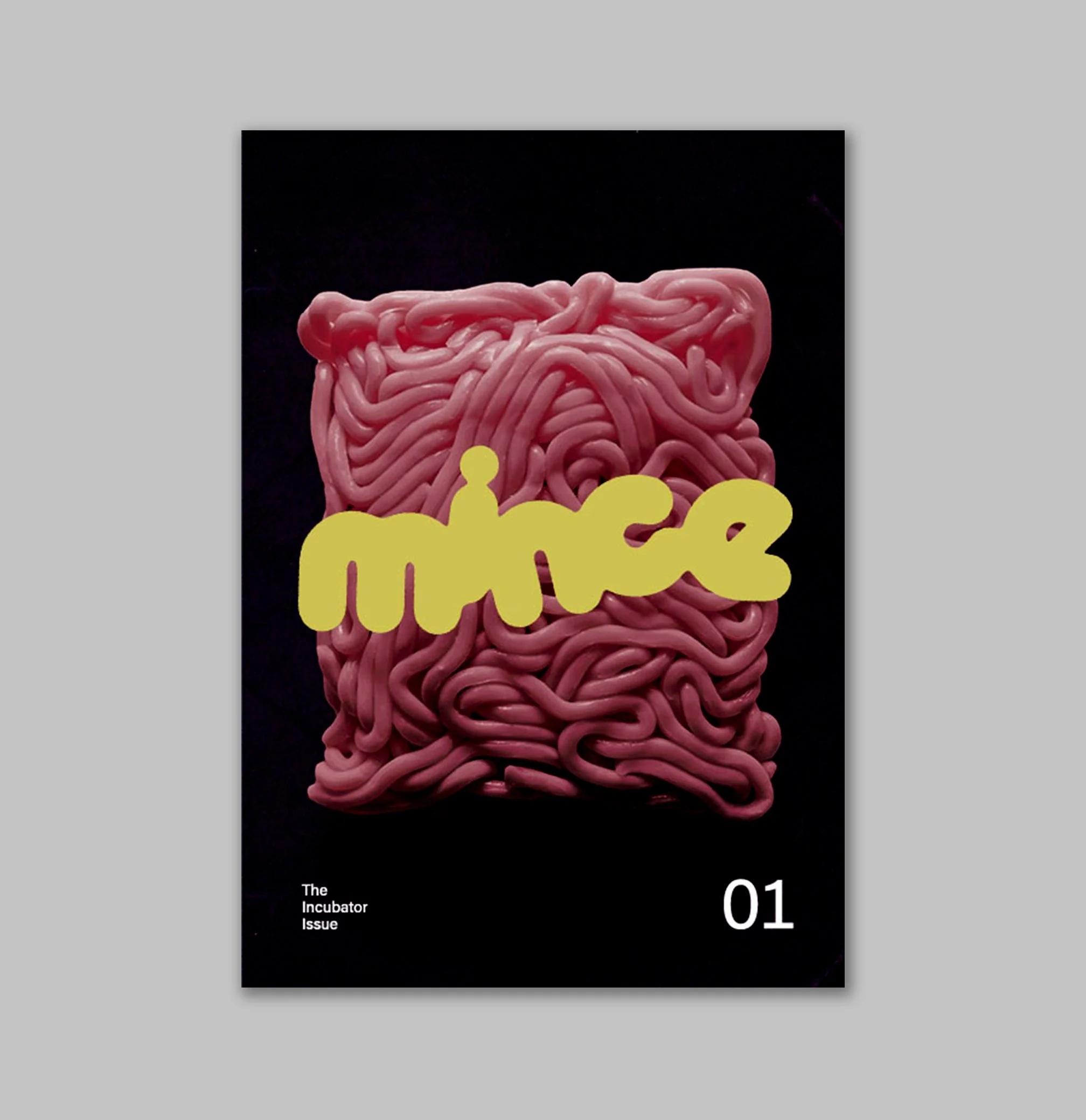 Mince Store Main.jpg