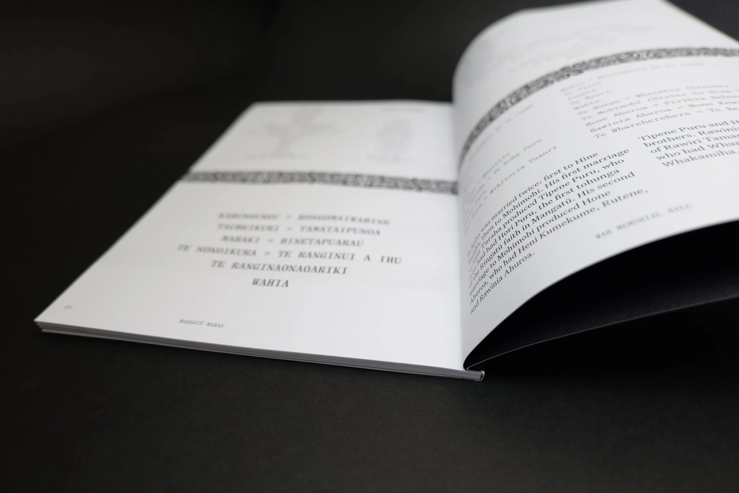 Mangatu Marae open.jpg