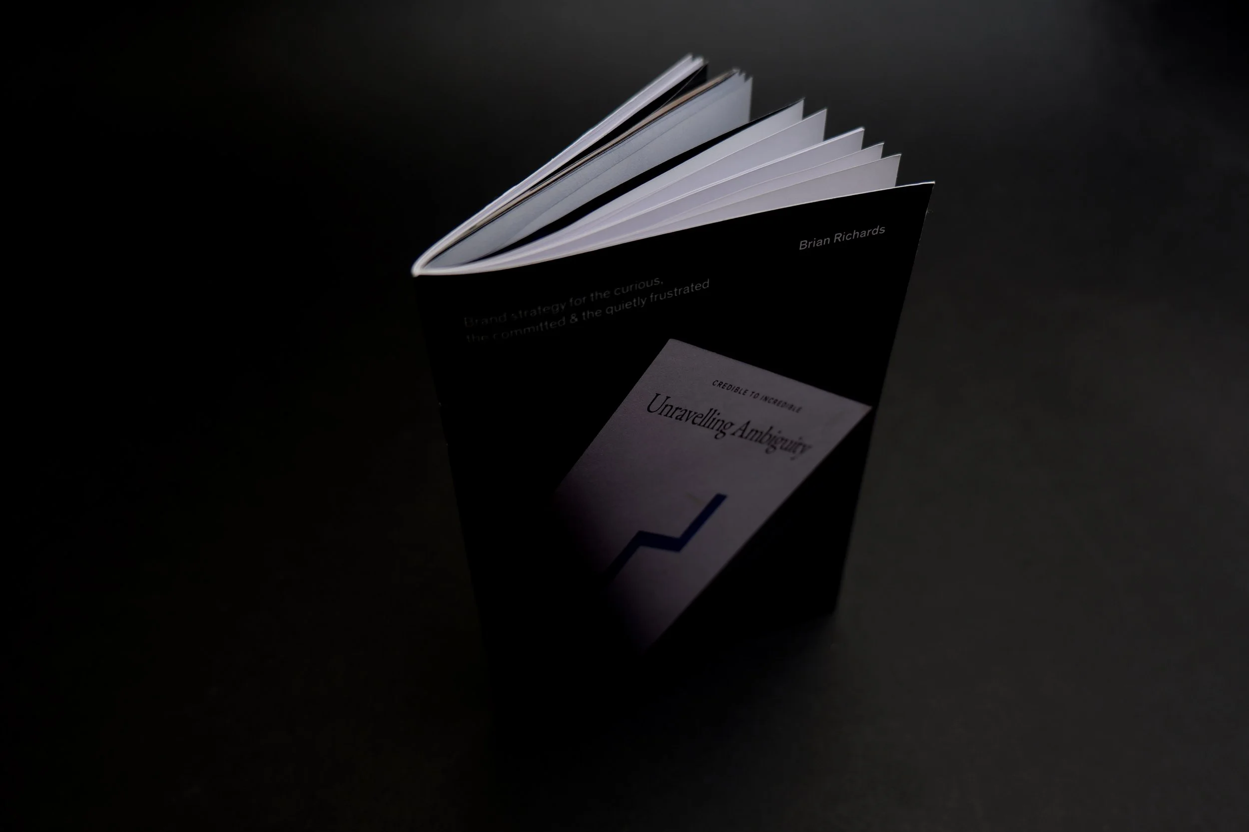 Unravelling Ambiguity little book.jpg