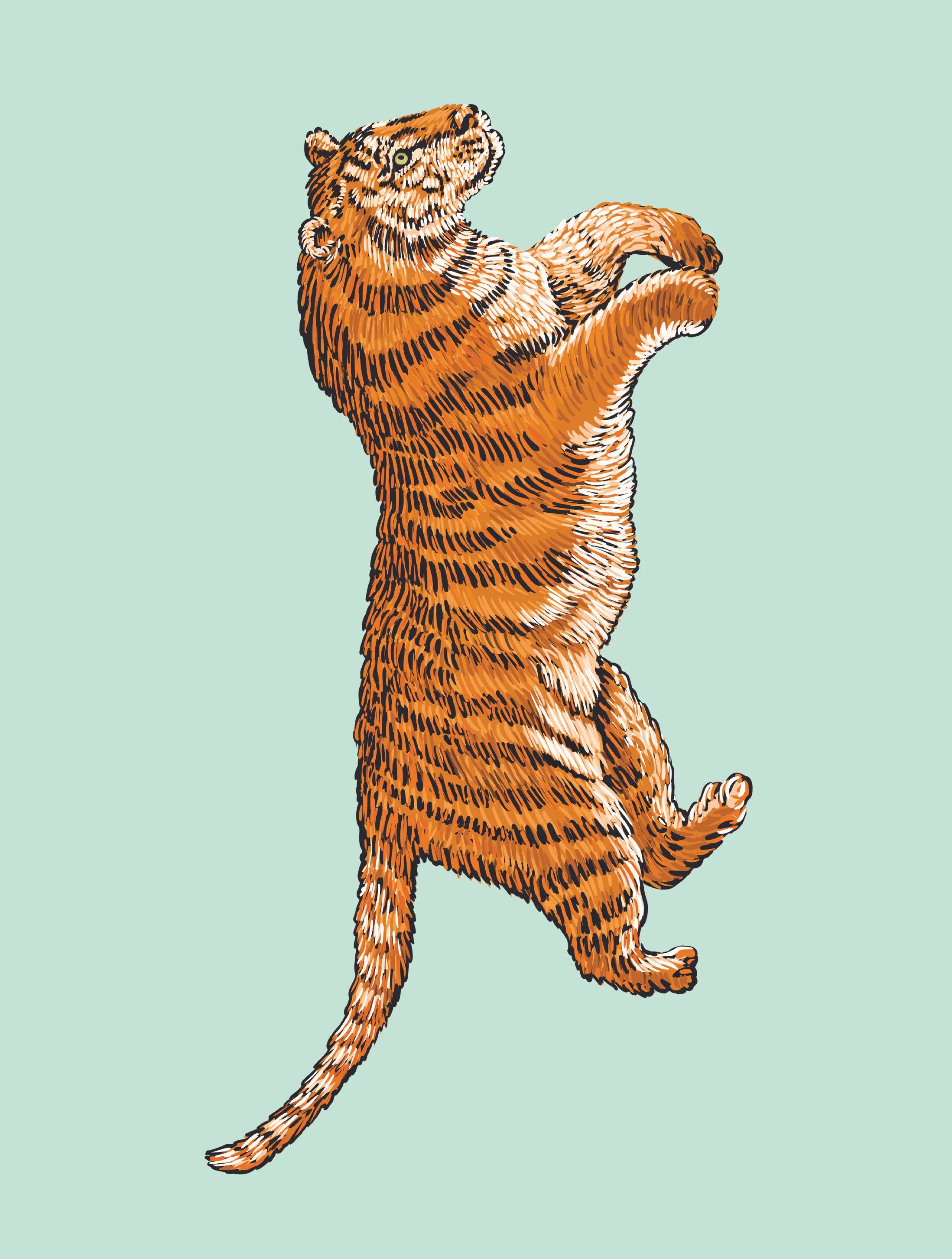Notebook+design+Greg+Downie+tiger.jpg
