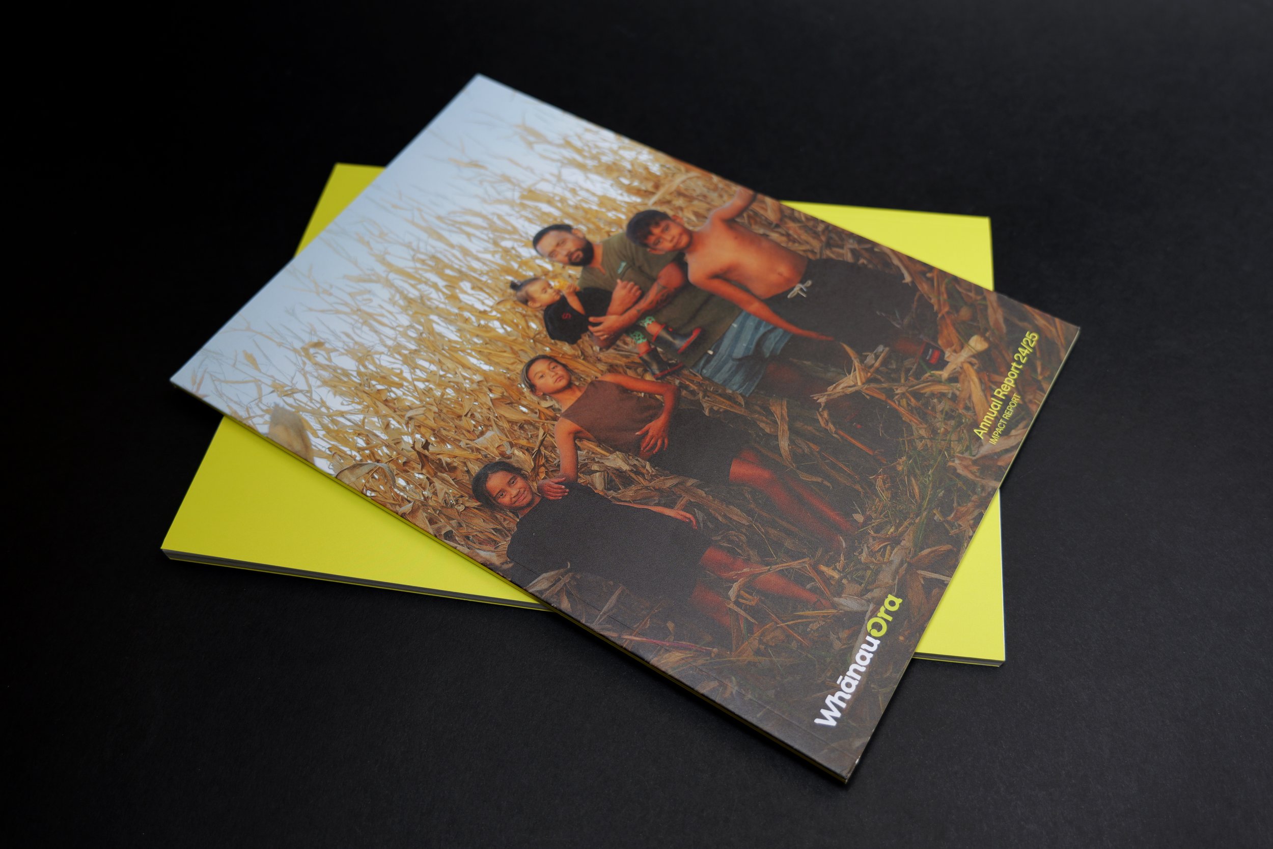 WhānauOra Covers.jpg