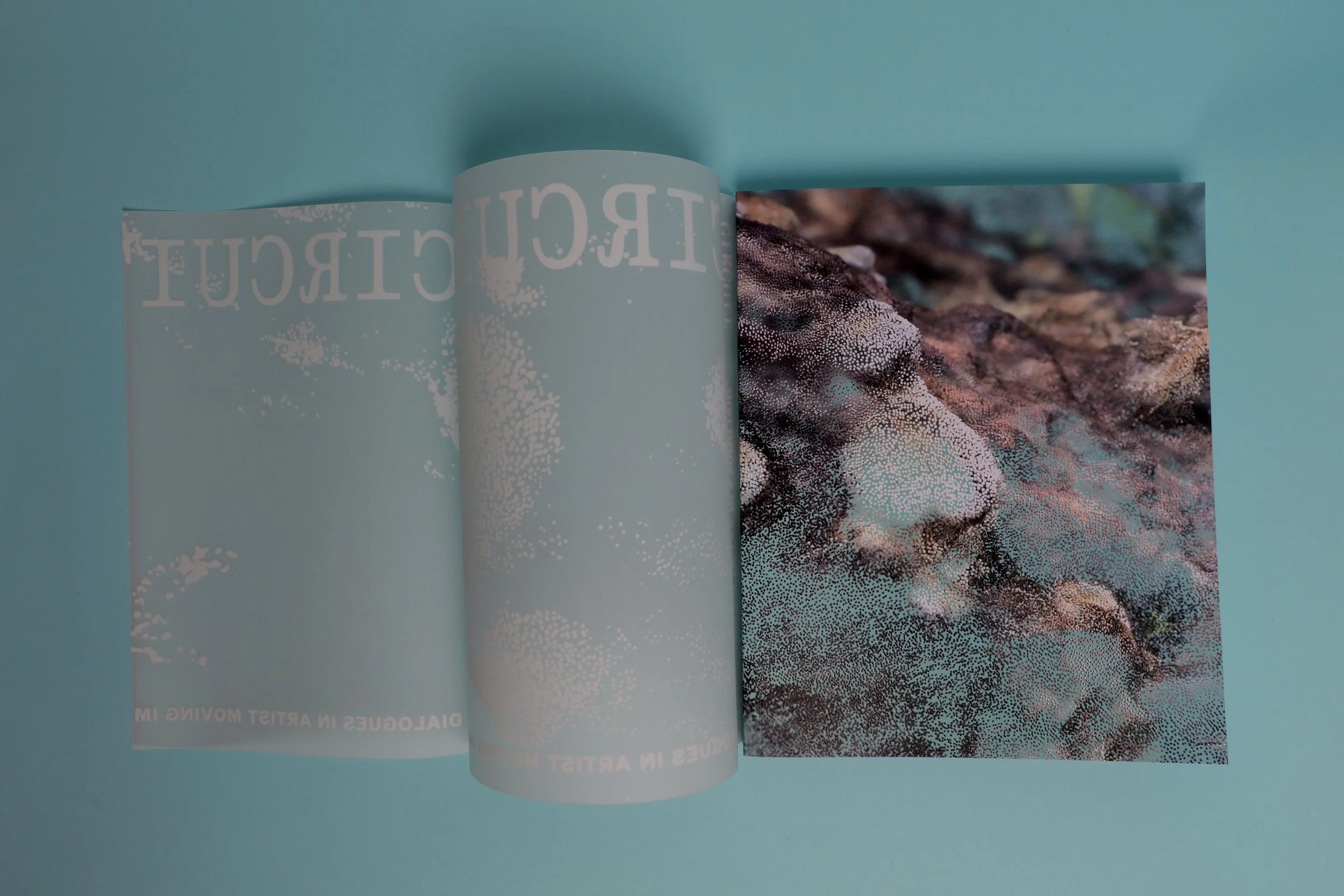 Circuit dust jacket open.jpg