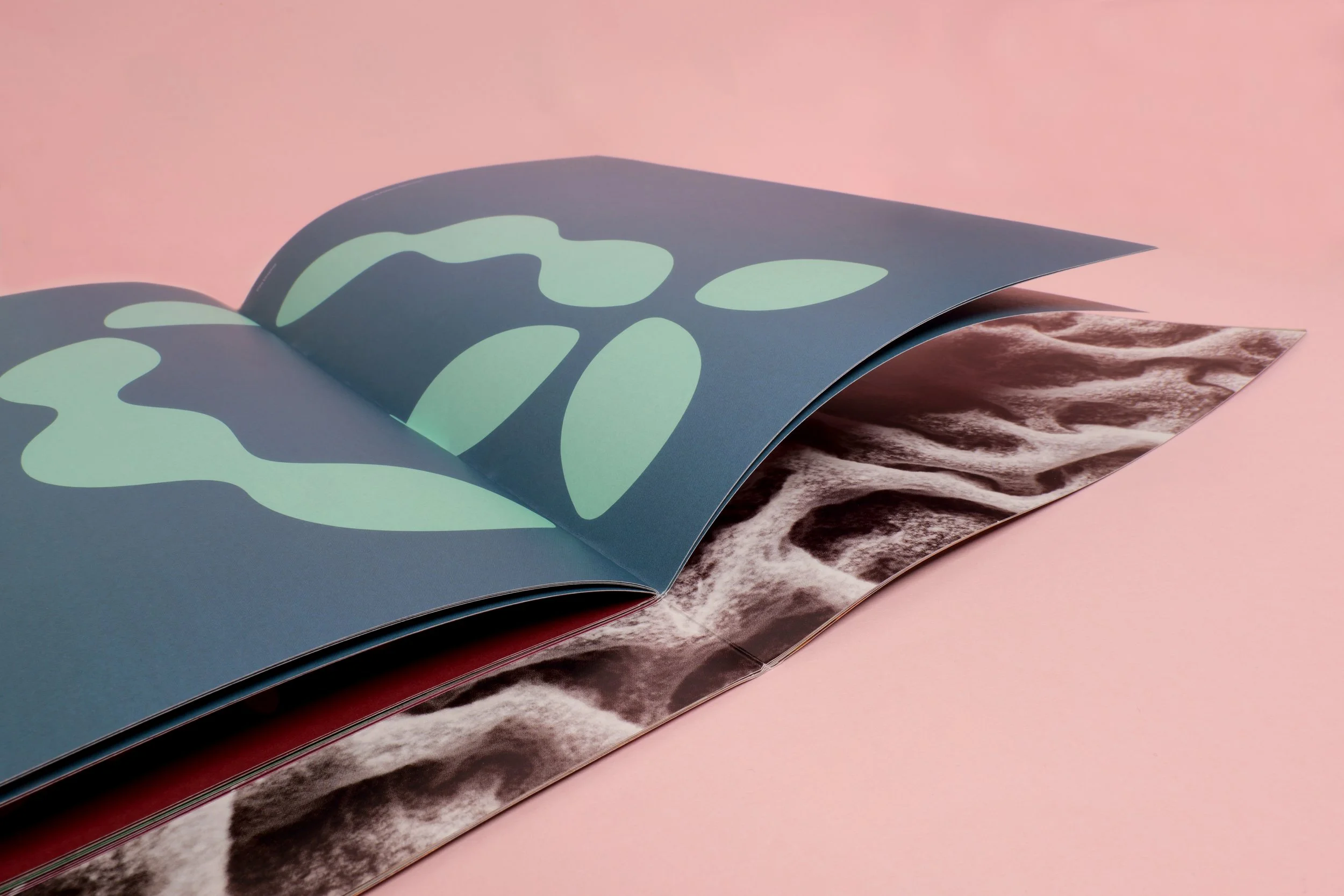 Pihi inside booklet.jpg