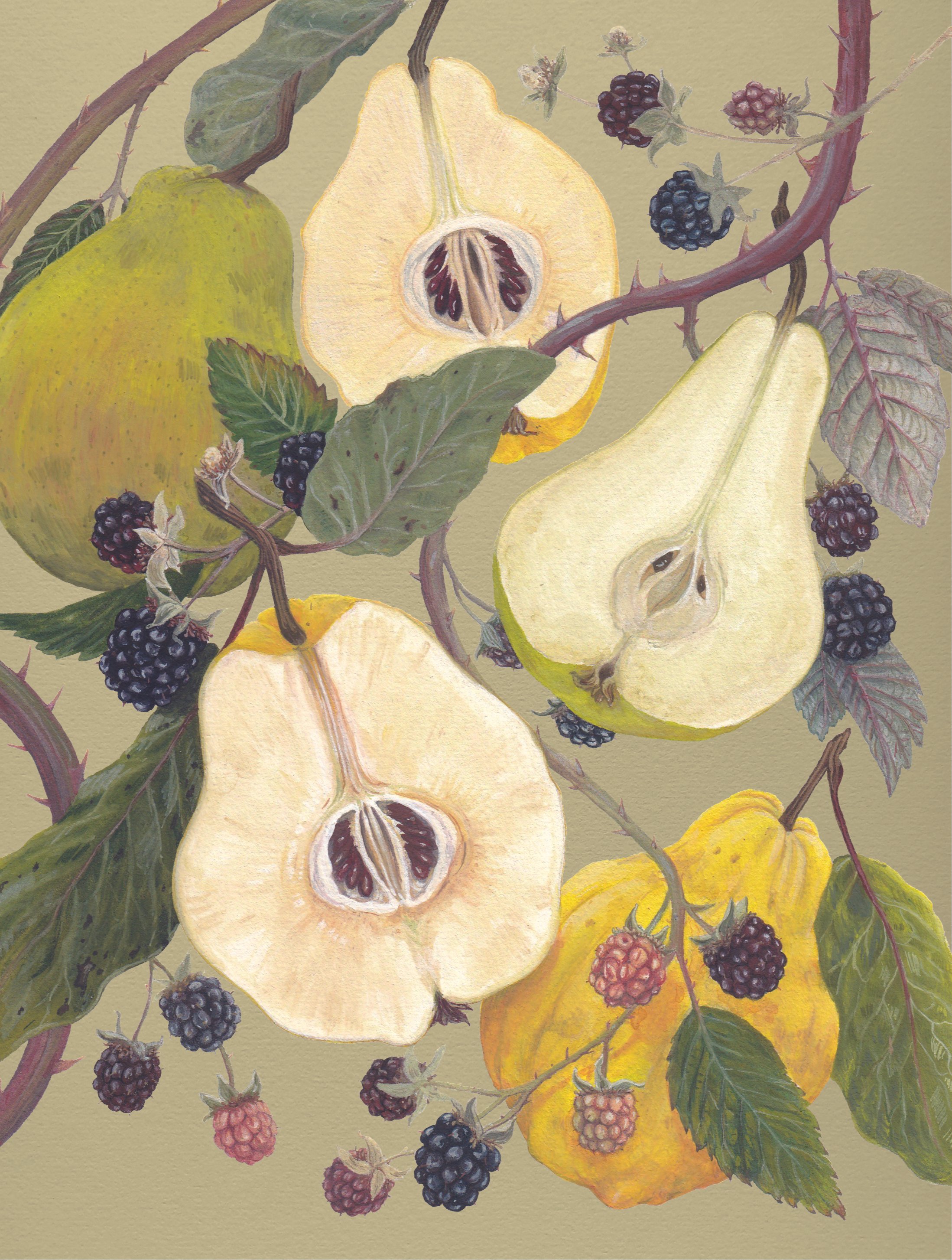 Ella+Cotmore+-+Autumn+Fruits.jpg