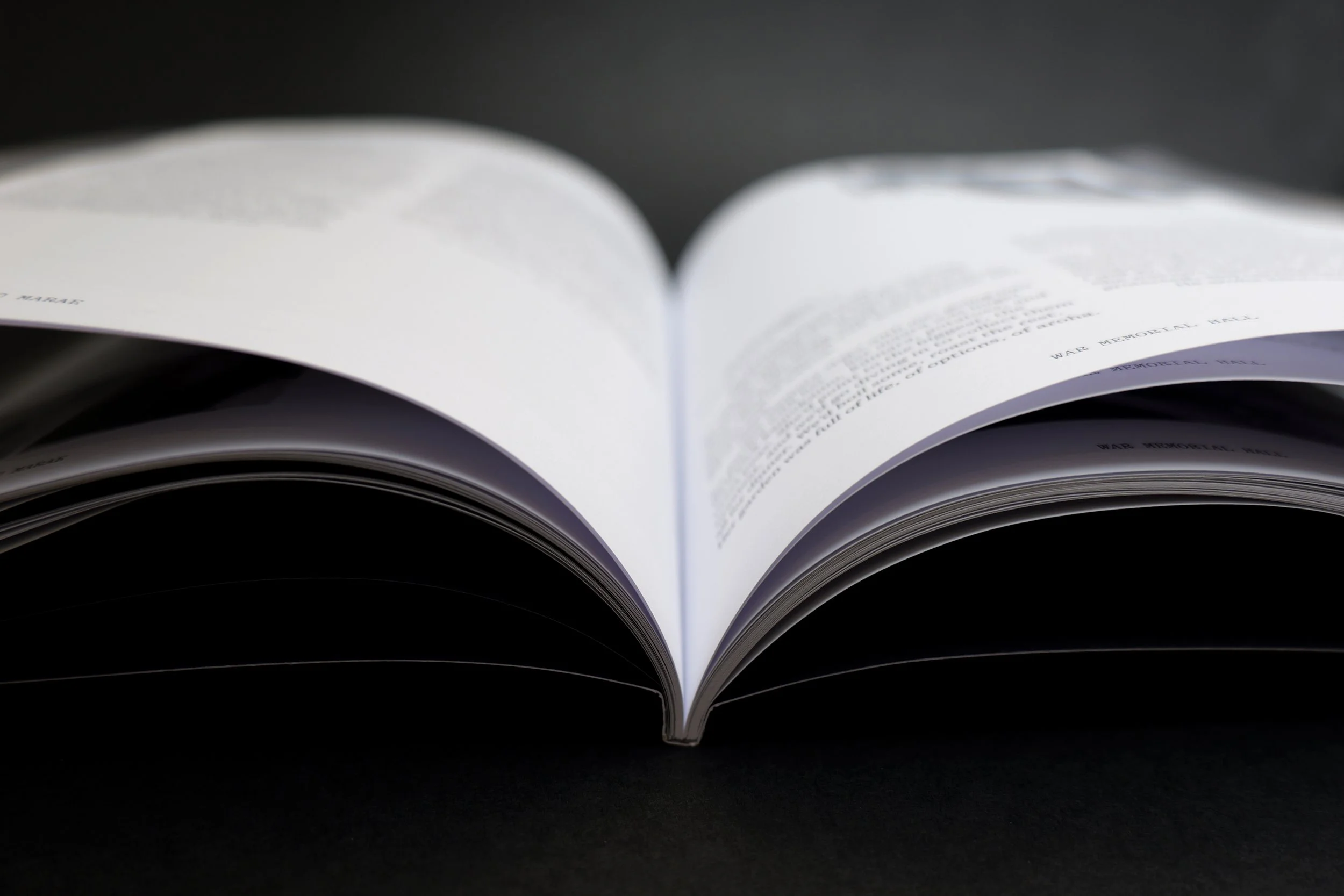 Mangatu Marae open 2.jpg