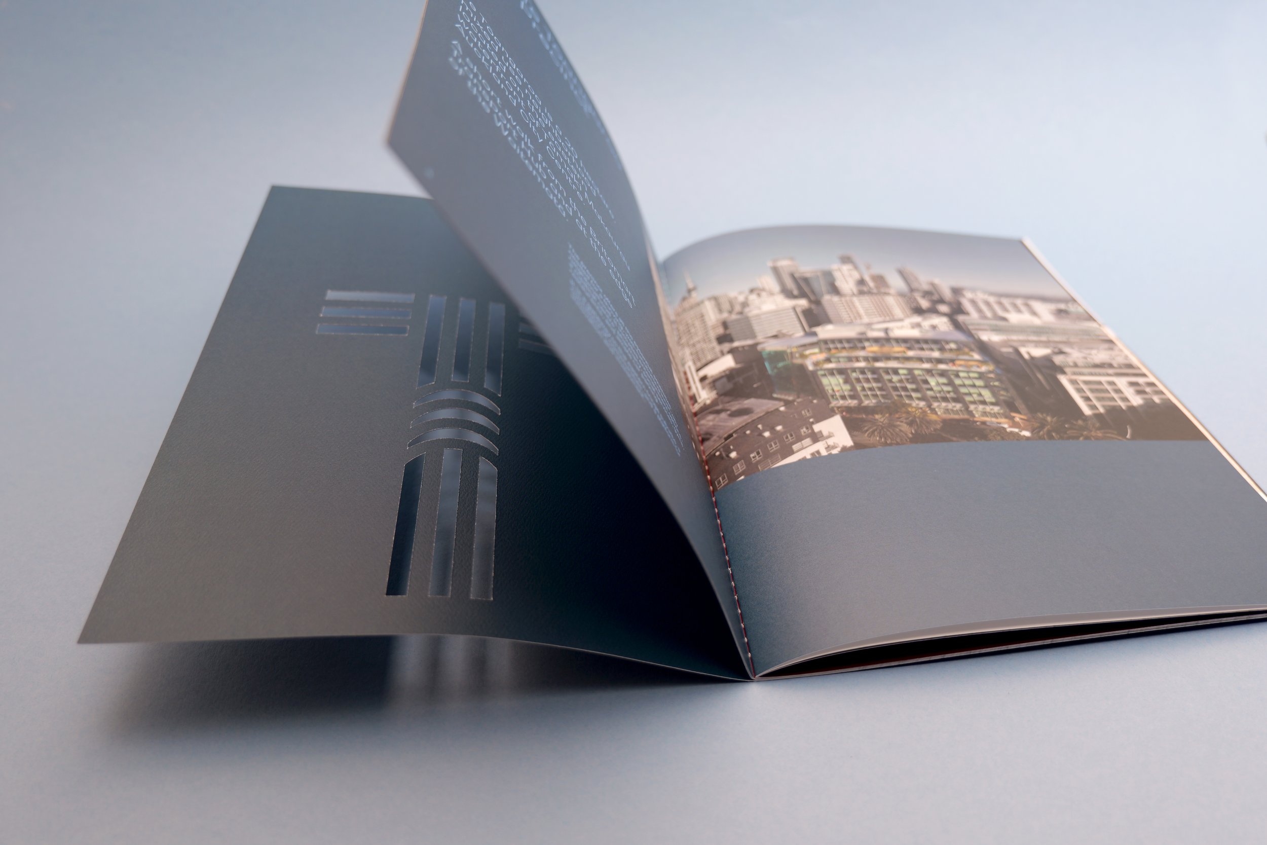 Te Tāangaroa open.jpg