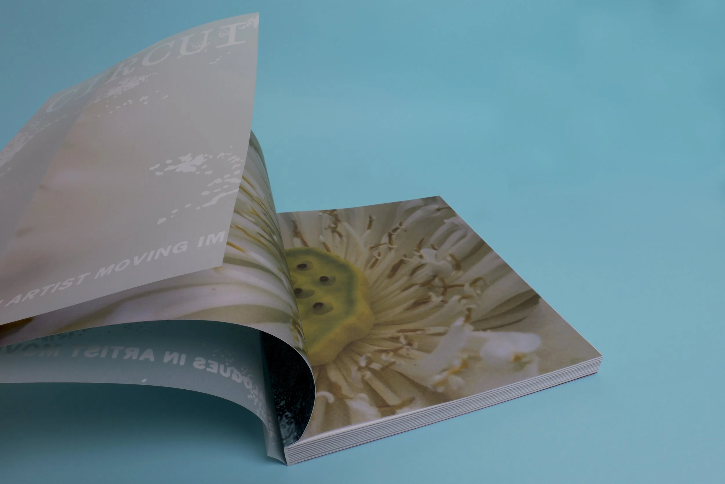 Circuit dust jacket.jpg