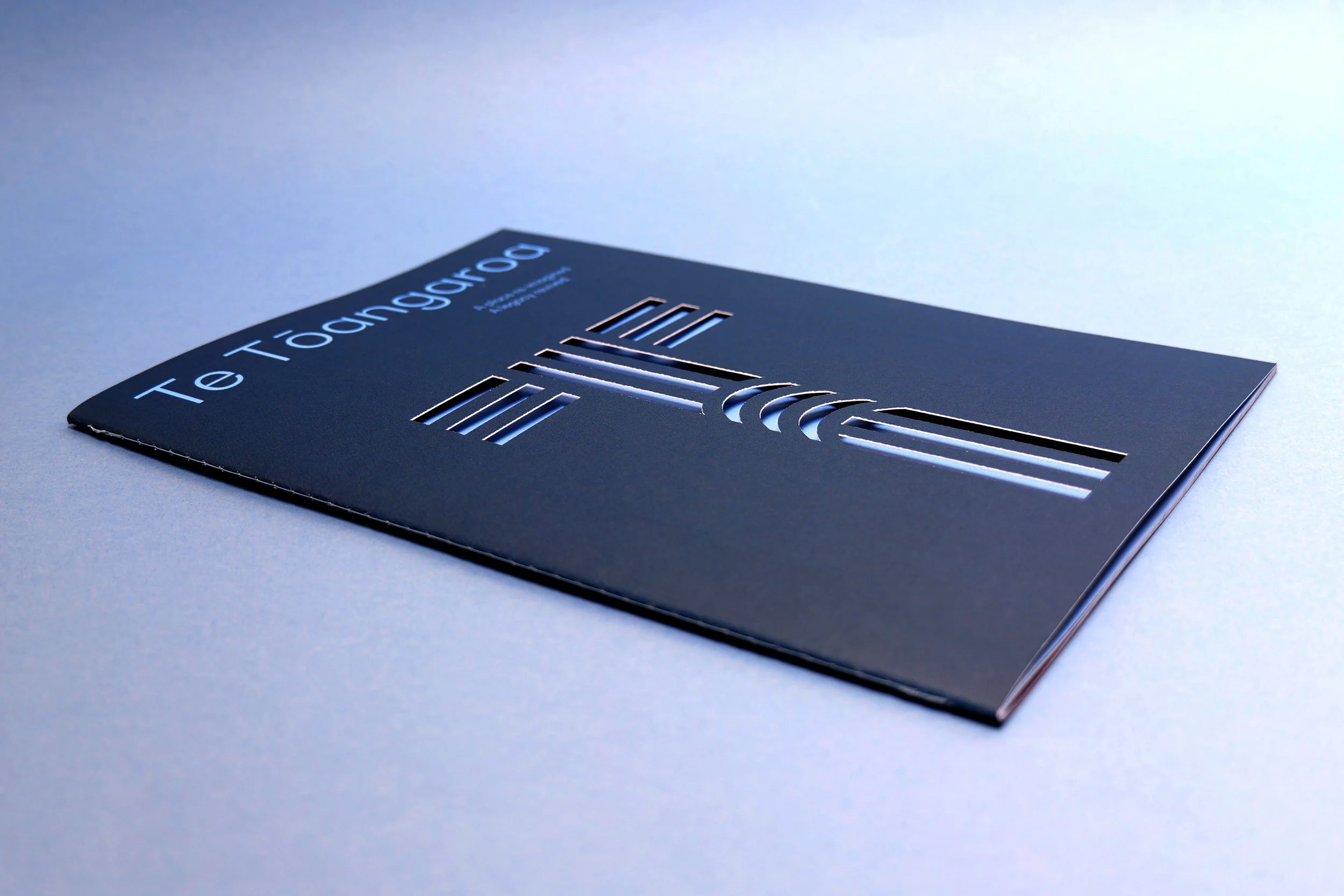 Te Tāangaroa cover-spine copy.jpg