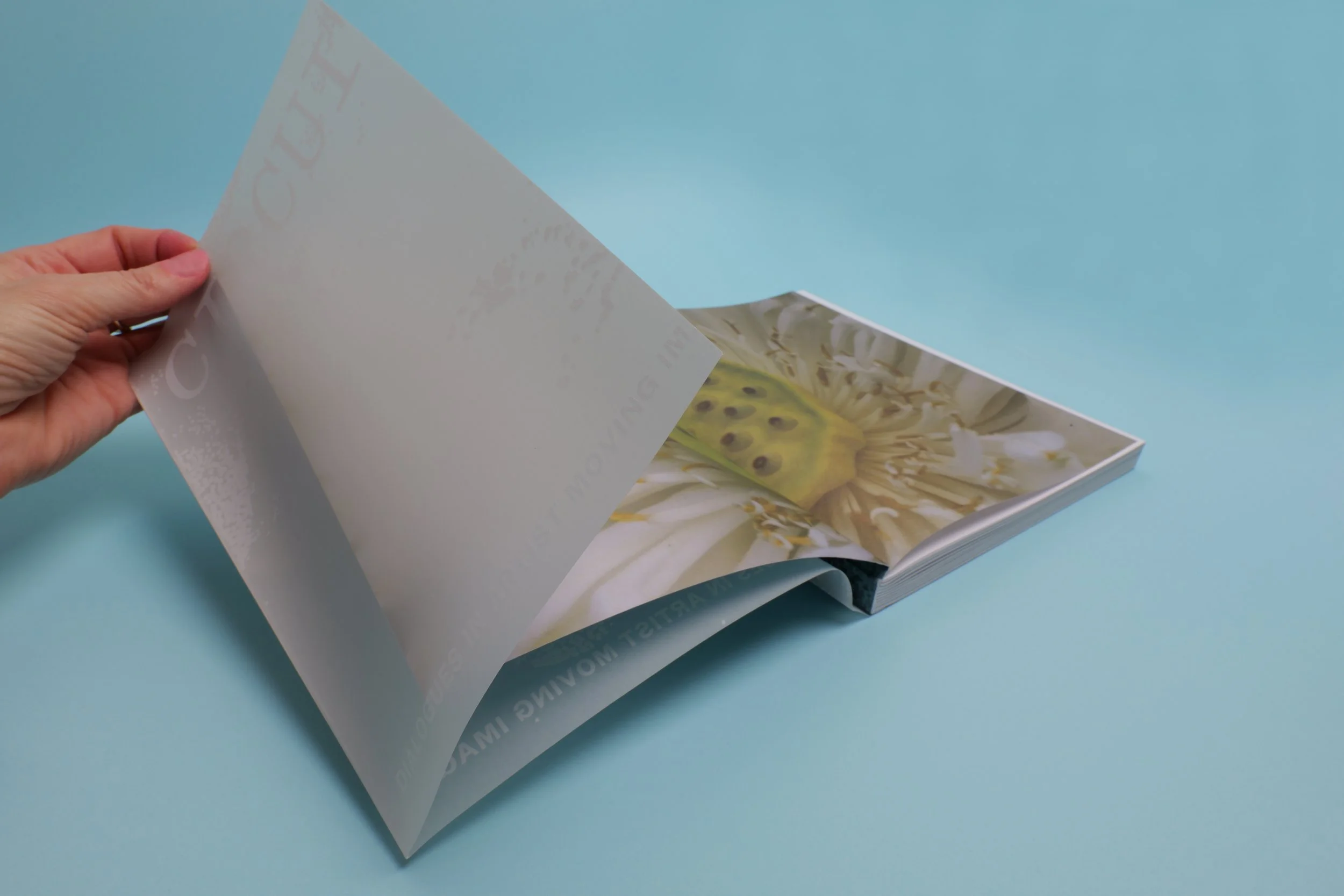 Circuit dust jacket.jpg