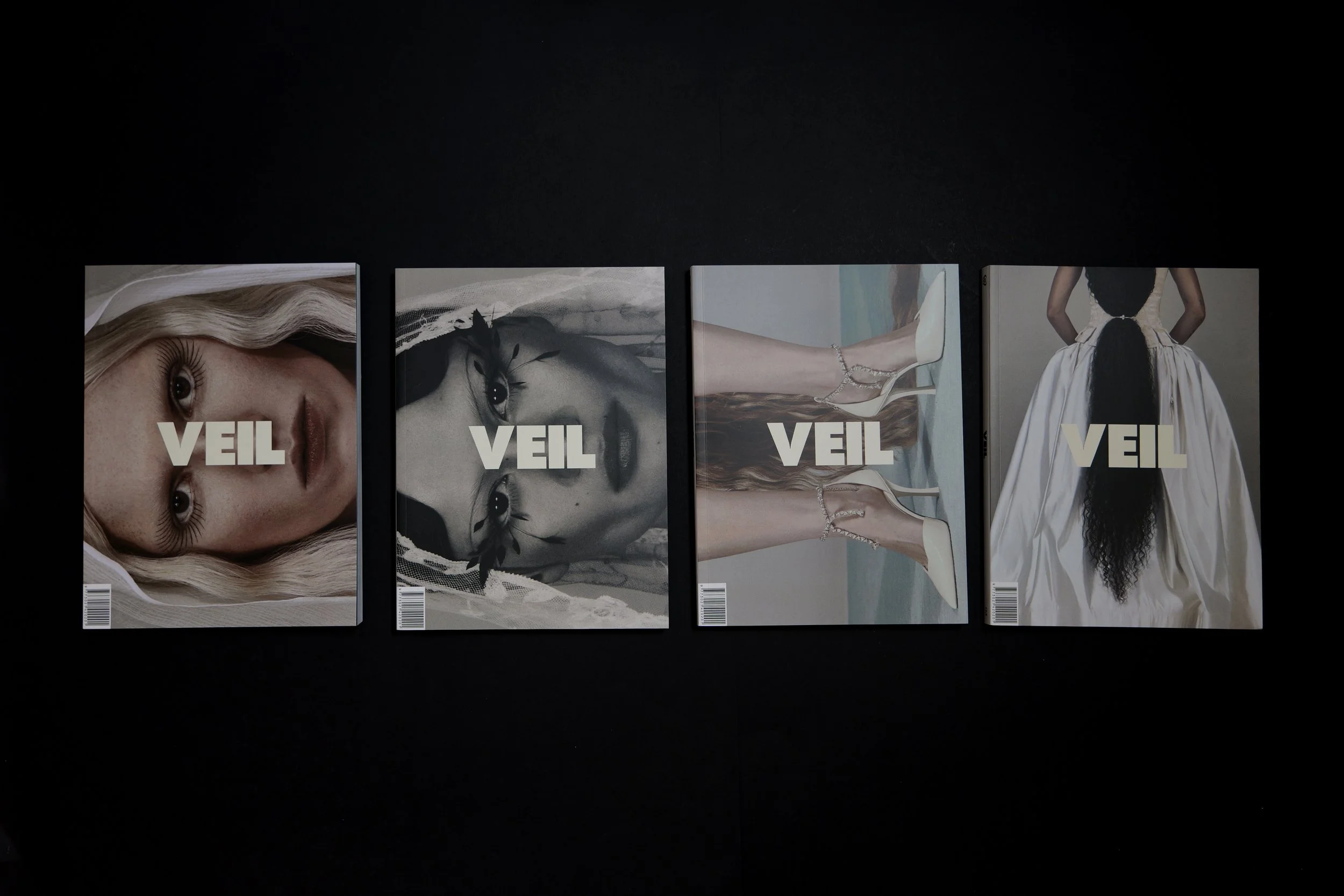 Veil Issue 3 covers.jpg