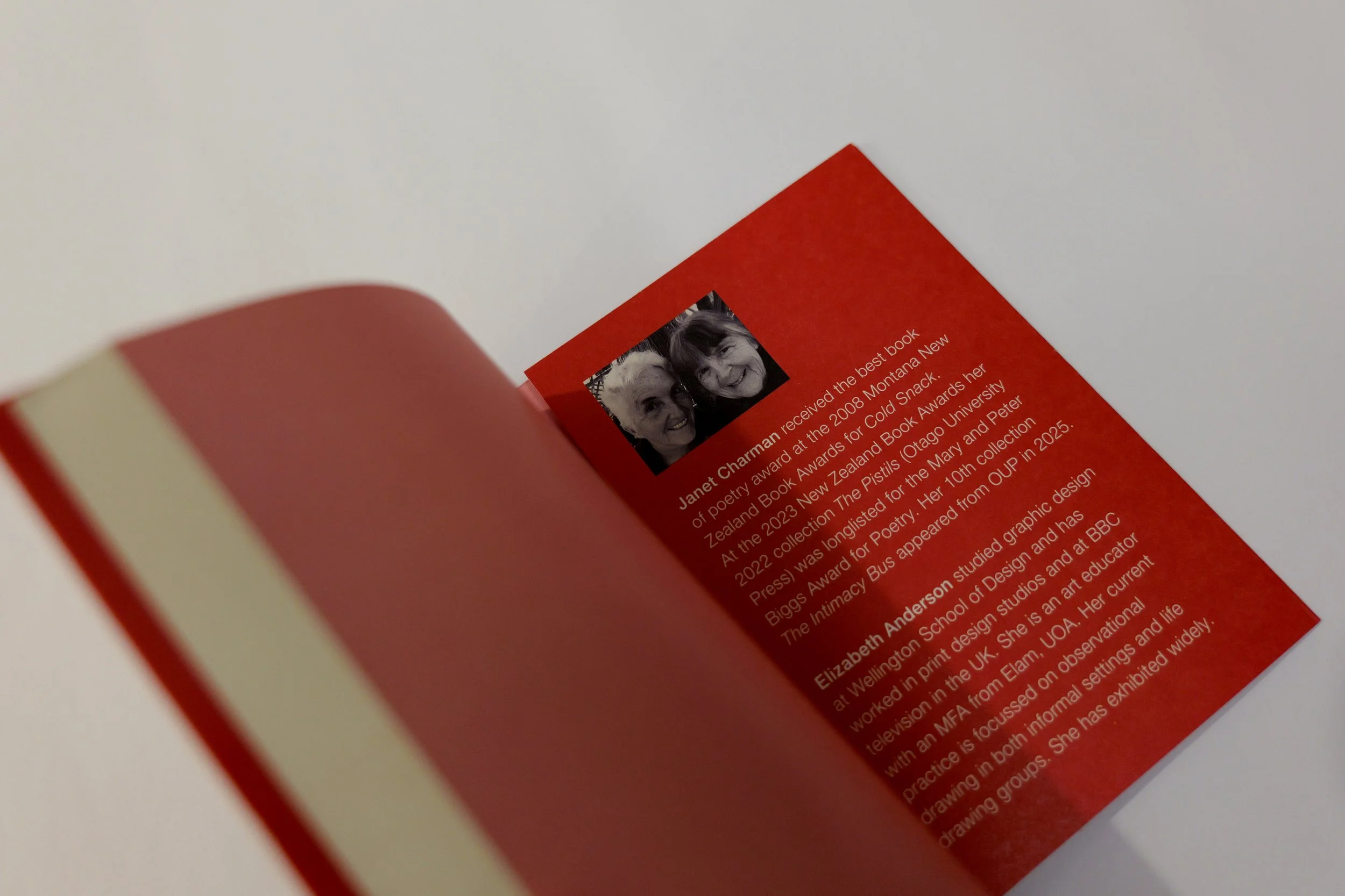 28 Days back inside cover.jpg
