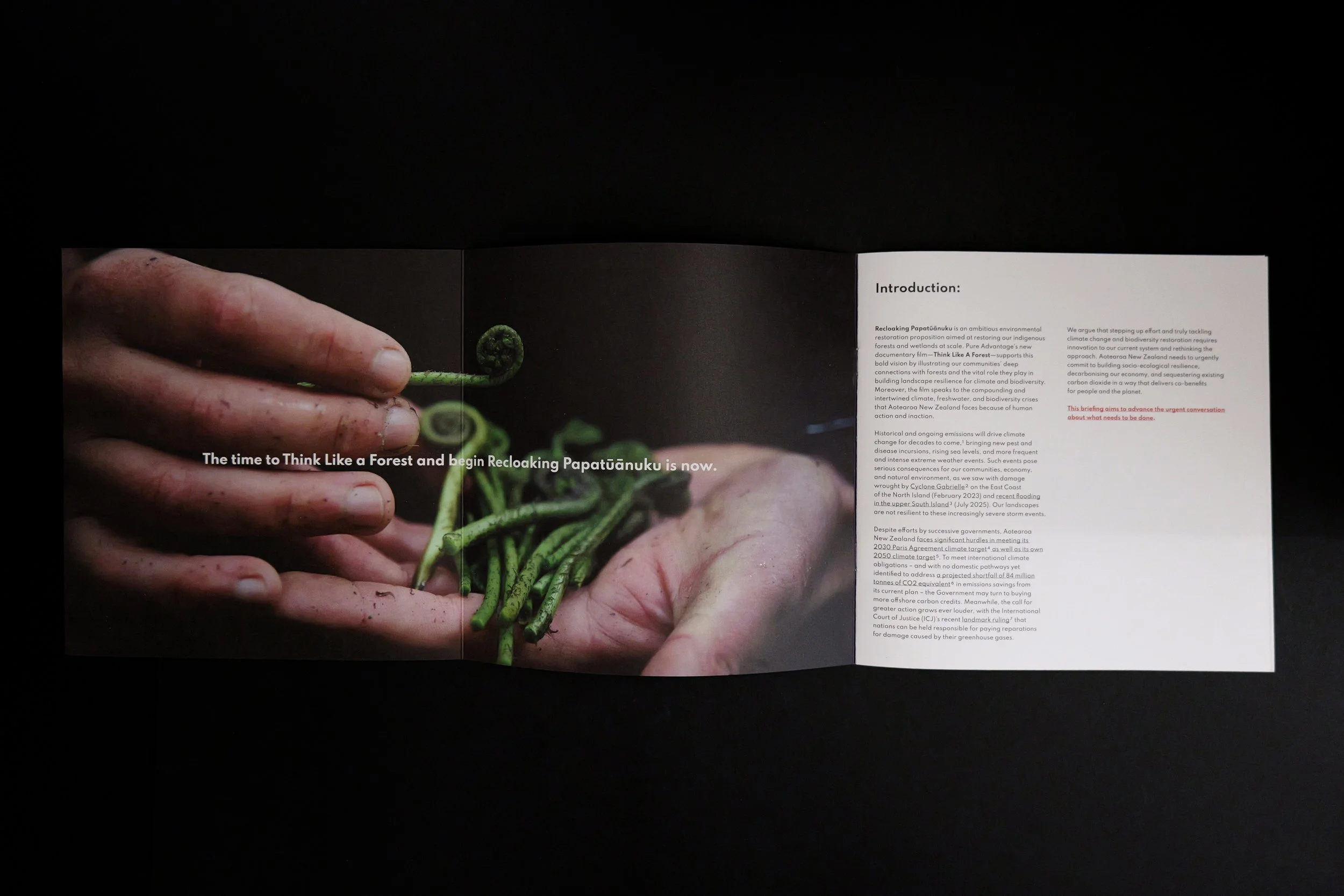 recloaking papatuanuku spread.jpg