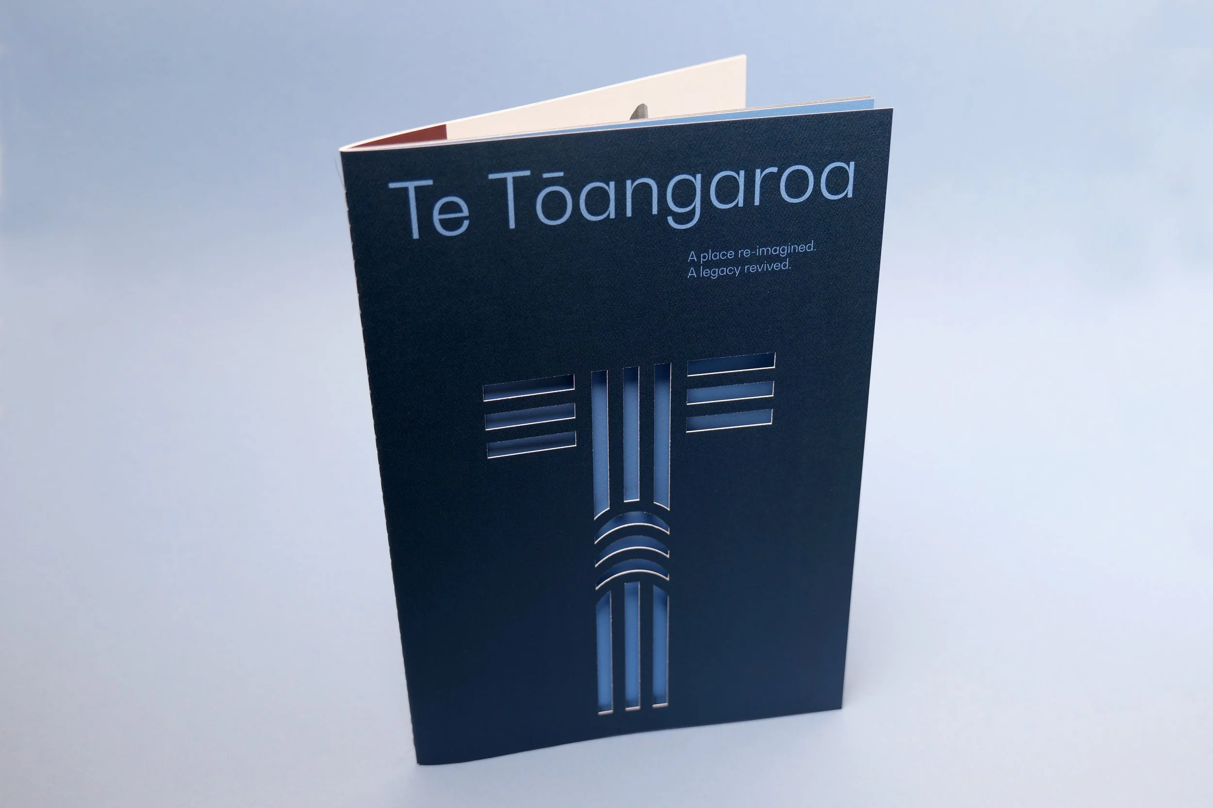 Te Tāangaroa cover.jpg