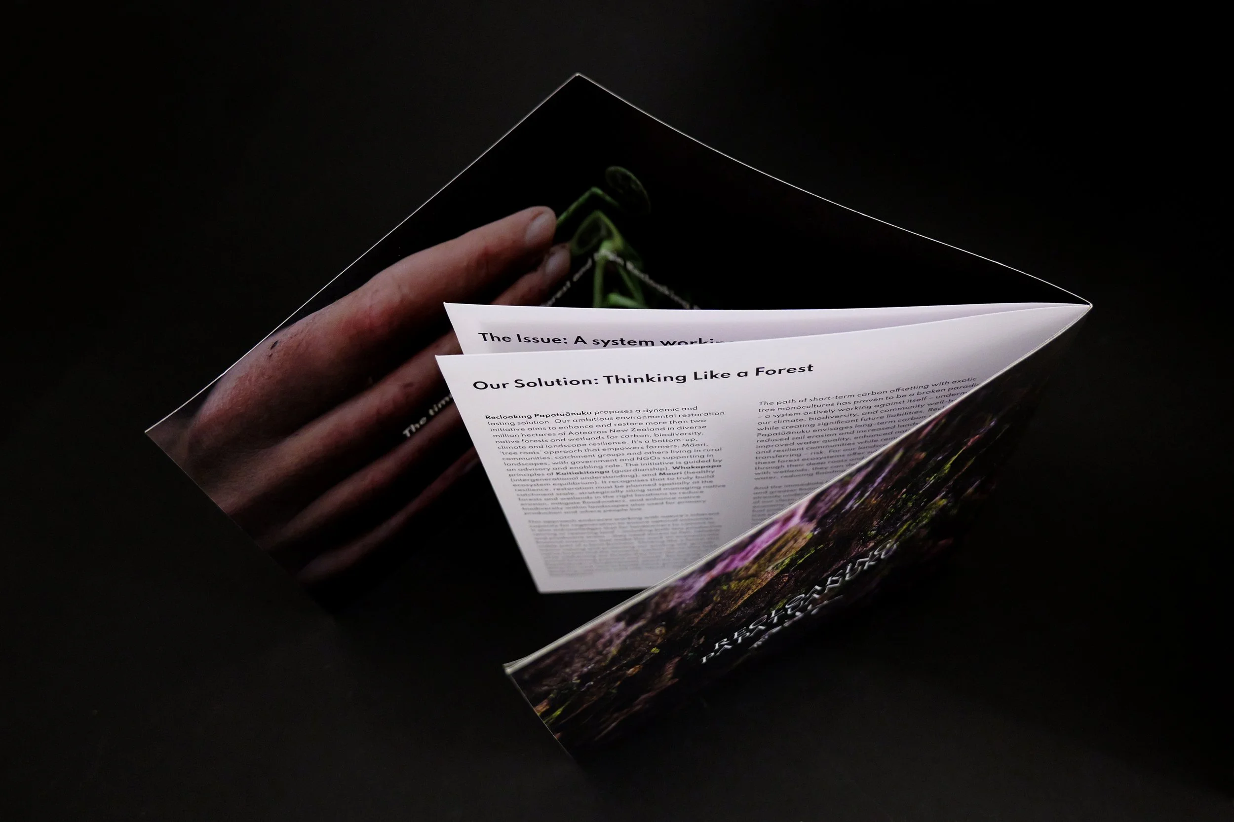 recloaking papatuanuku standing.jpg