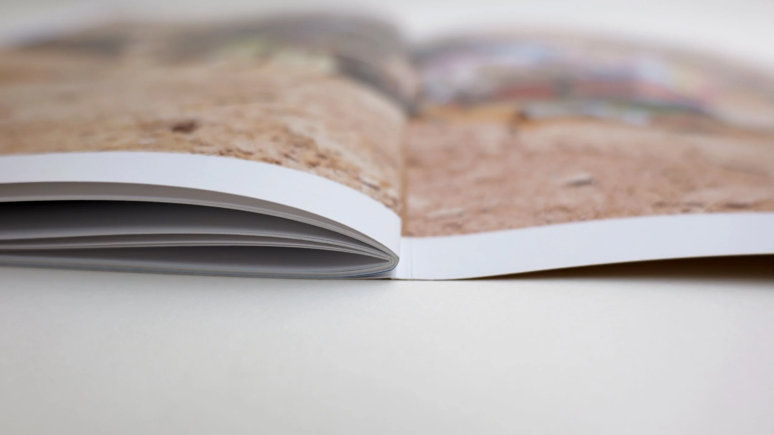 Salvation Mountain Saddle Stitched Book