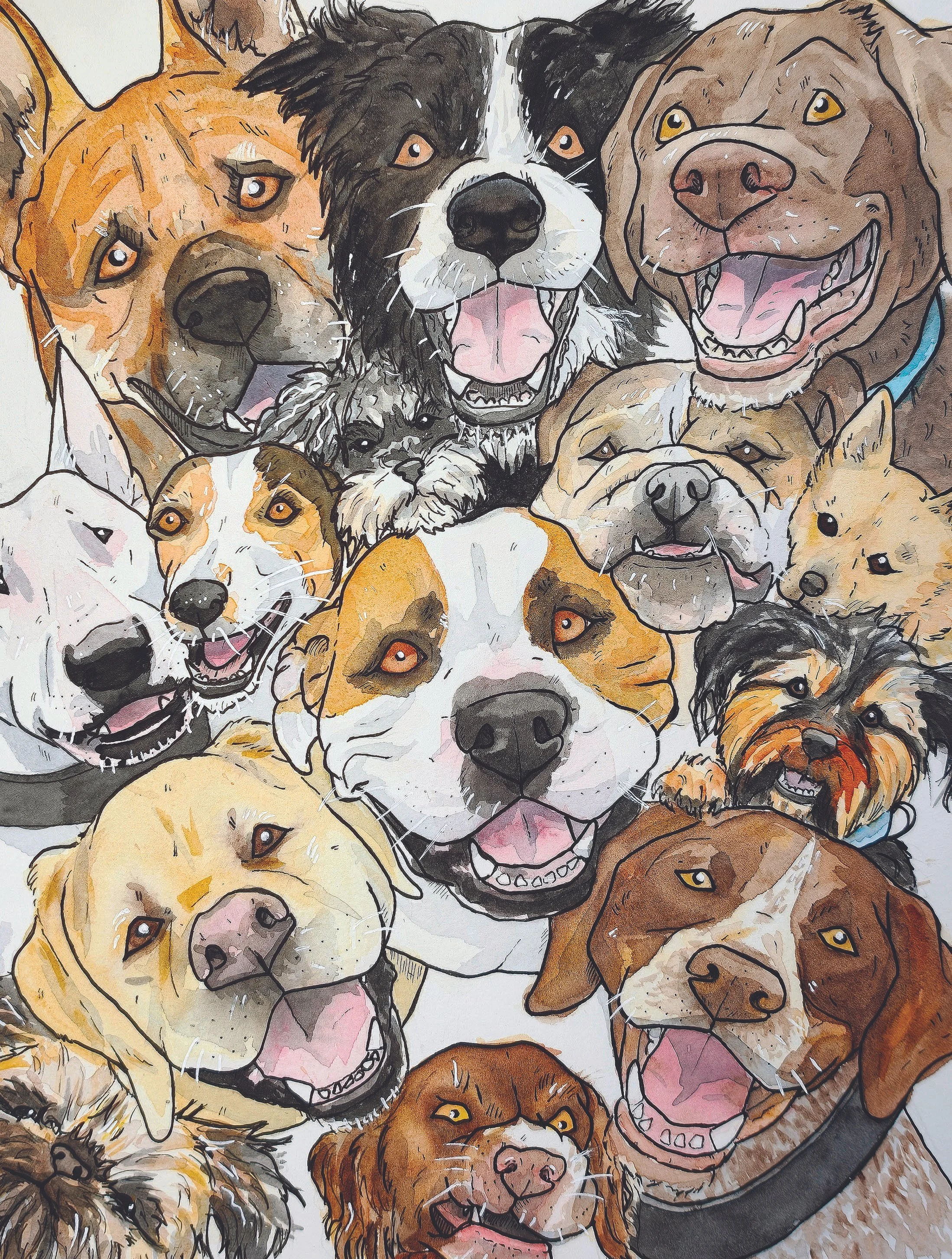 Sam+Spence+-+Doggy+Selfie copy.jpg