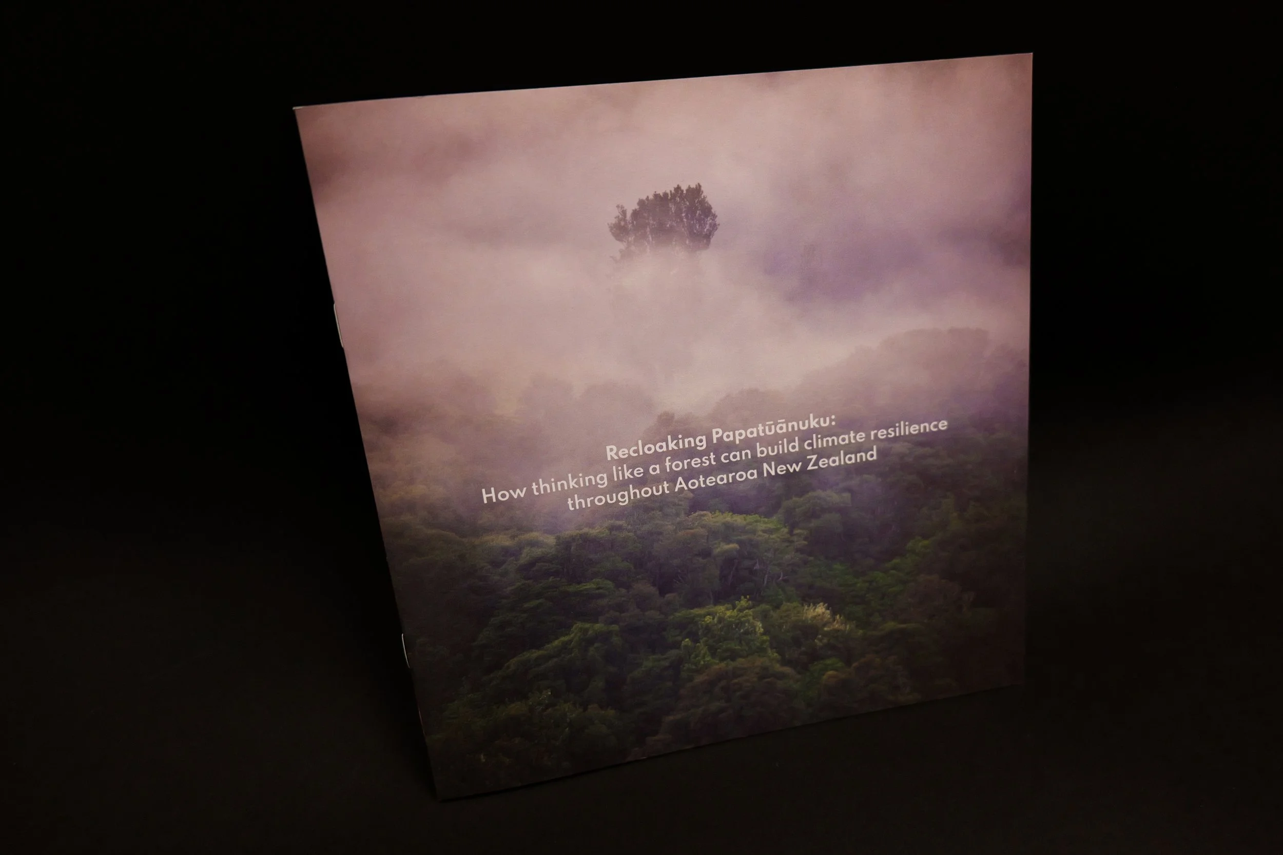 Recloaking Papatūānuku