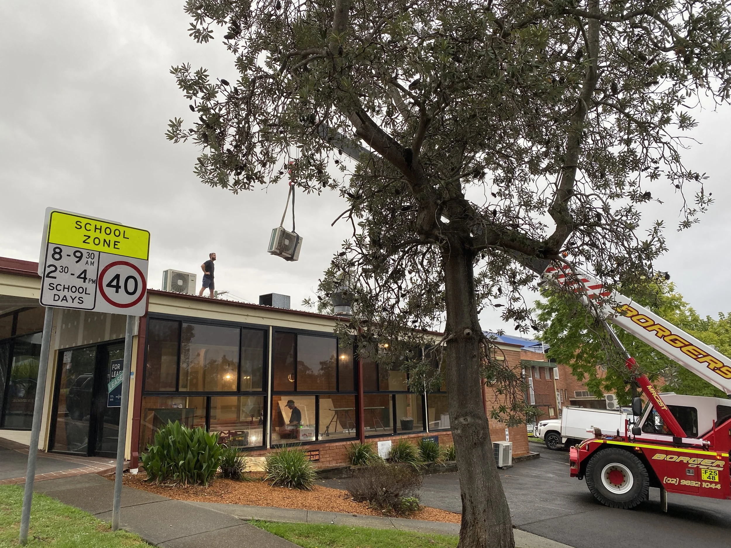 A large tree is being trimmed by a crane outside a brick building with large glass windows. A man is standing on the roof, and a worker is inside the building. Traffic signs indicate a school zone with a speed limit of 40 mph and school hours from 8: